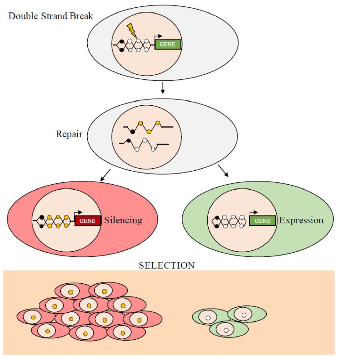 Cancers 13 01800 g003 Cancers 13 01800 g003