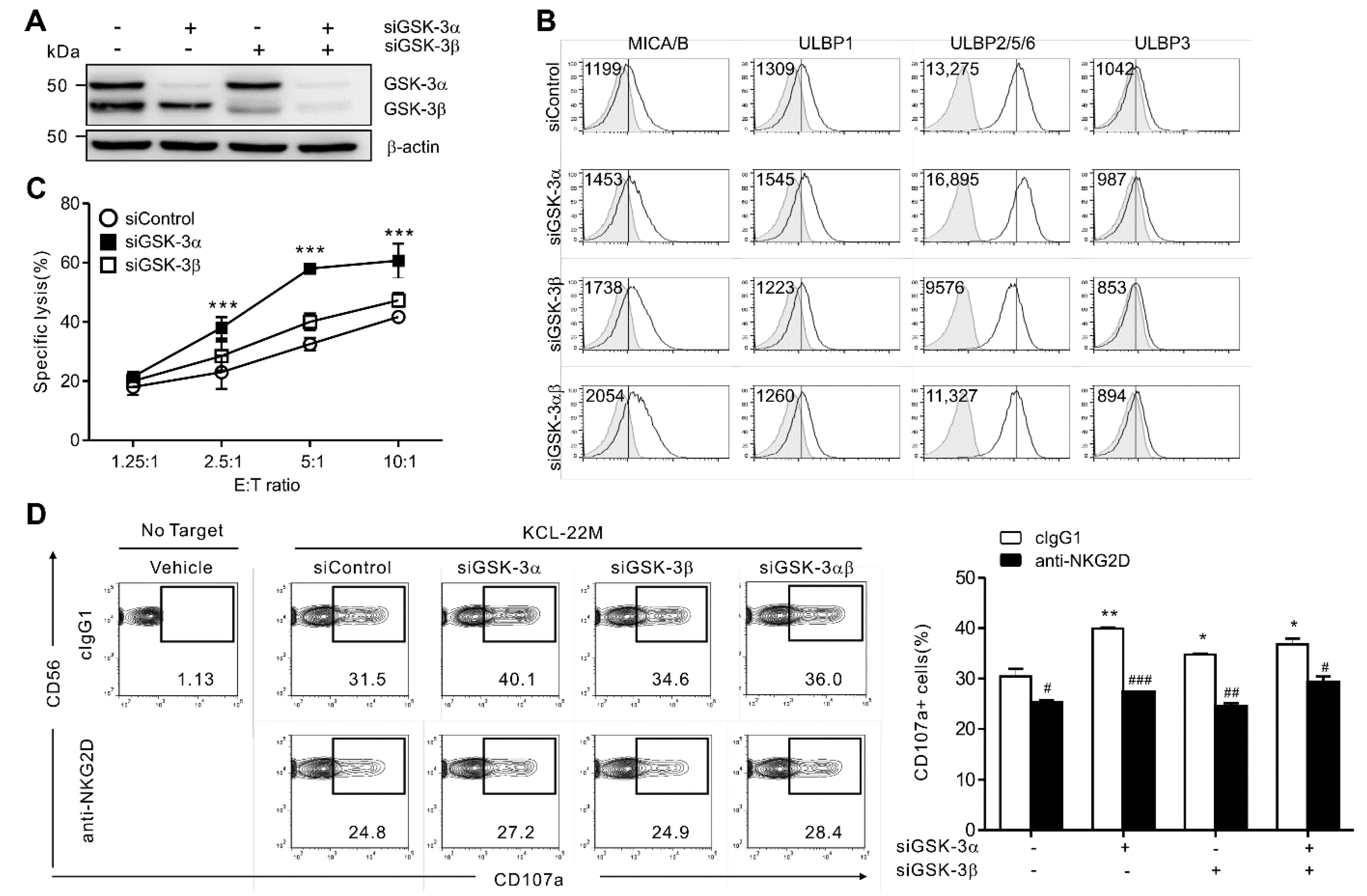 Cancers 13 01802 g002