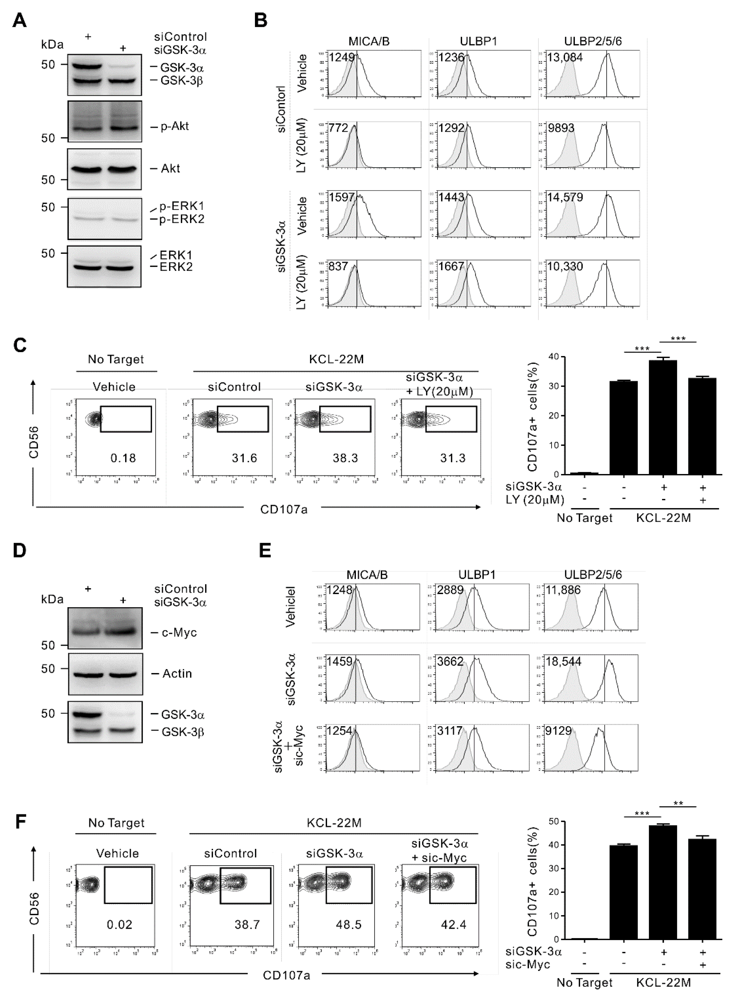 Cancers 13 01802 g003