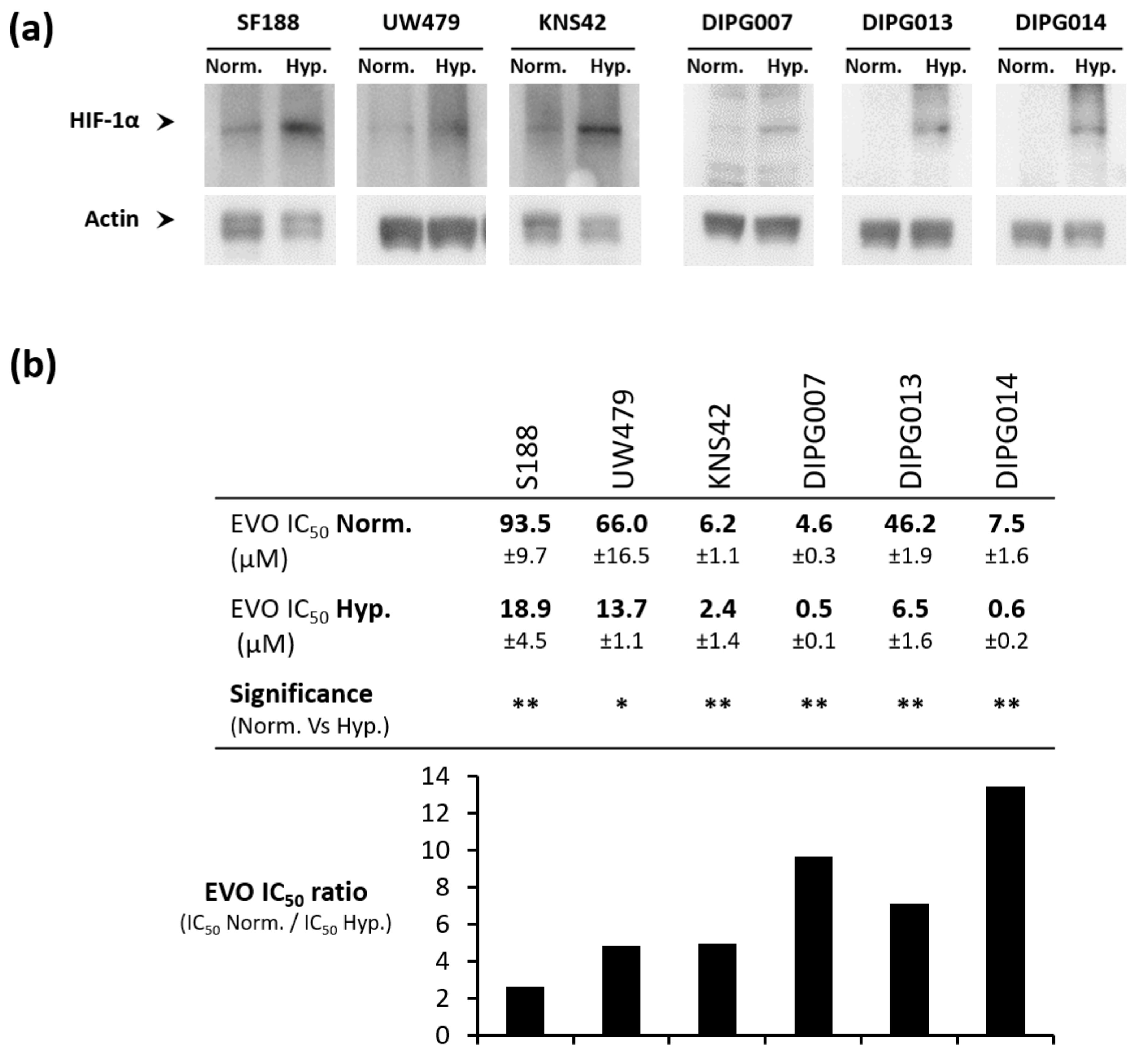 Cancers 13 01804 g001 Cancers 13 01804 g001