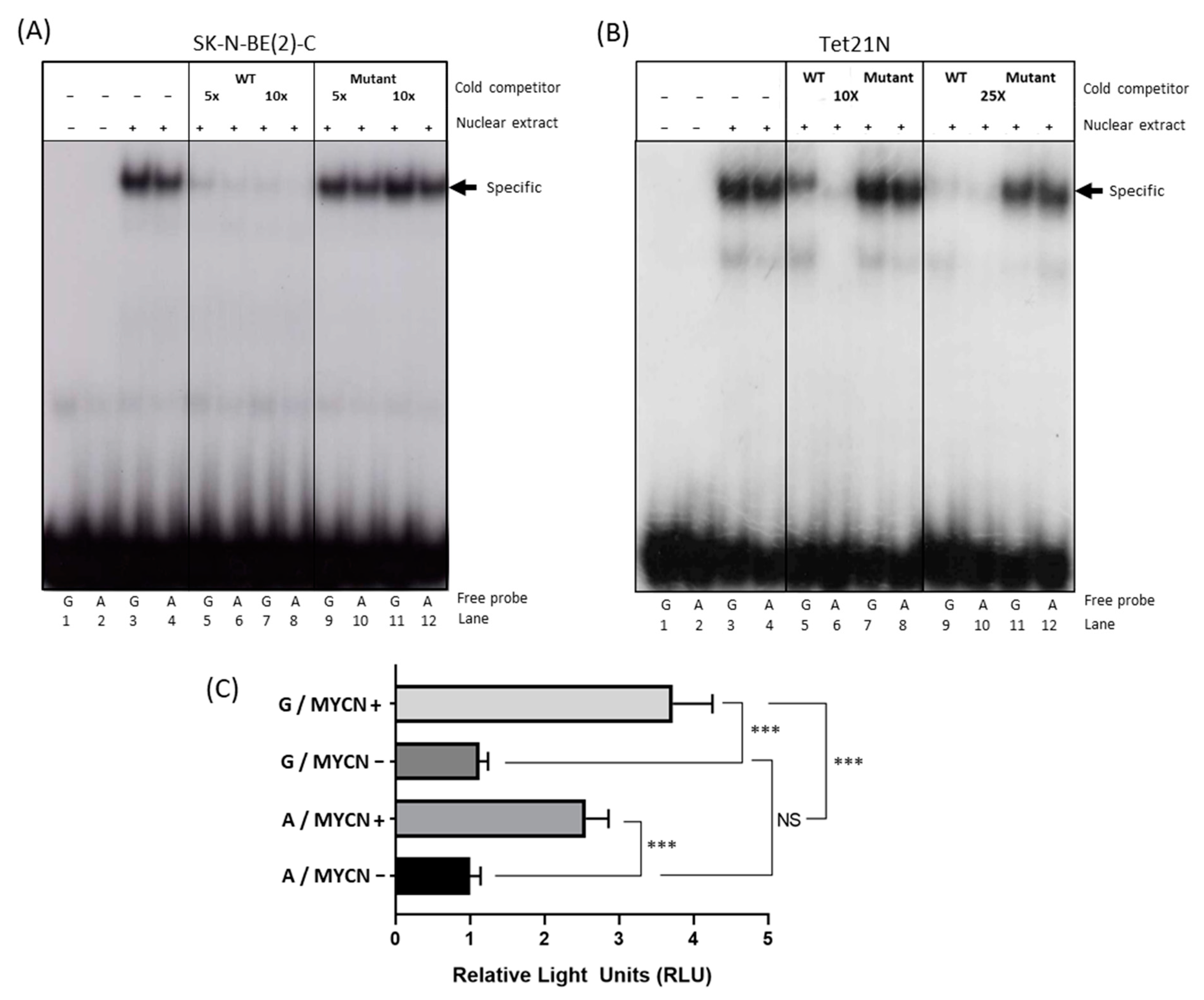 Cancers 13 01807 g002