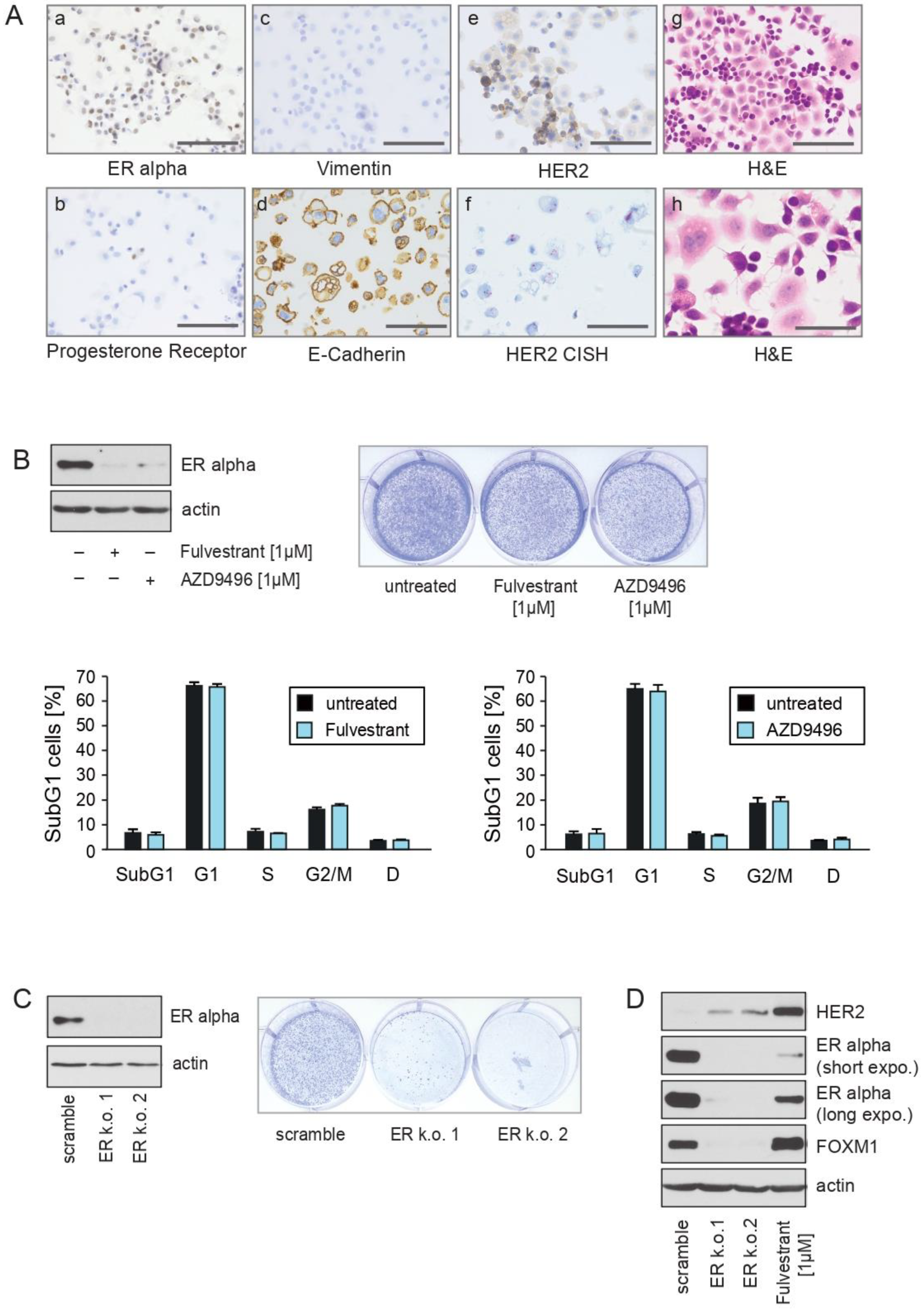 Cancers 13 01810 g001 Cancers 13 01810 g001