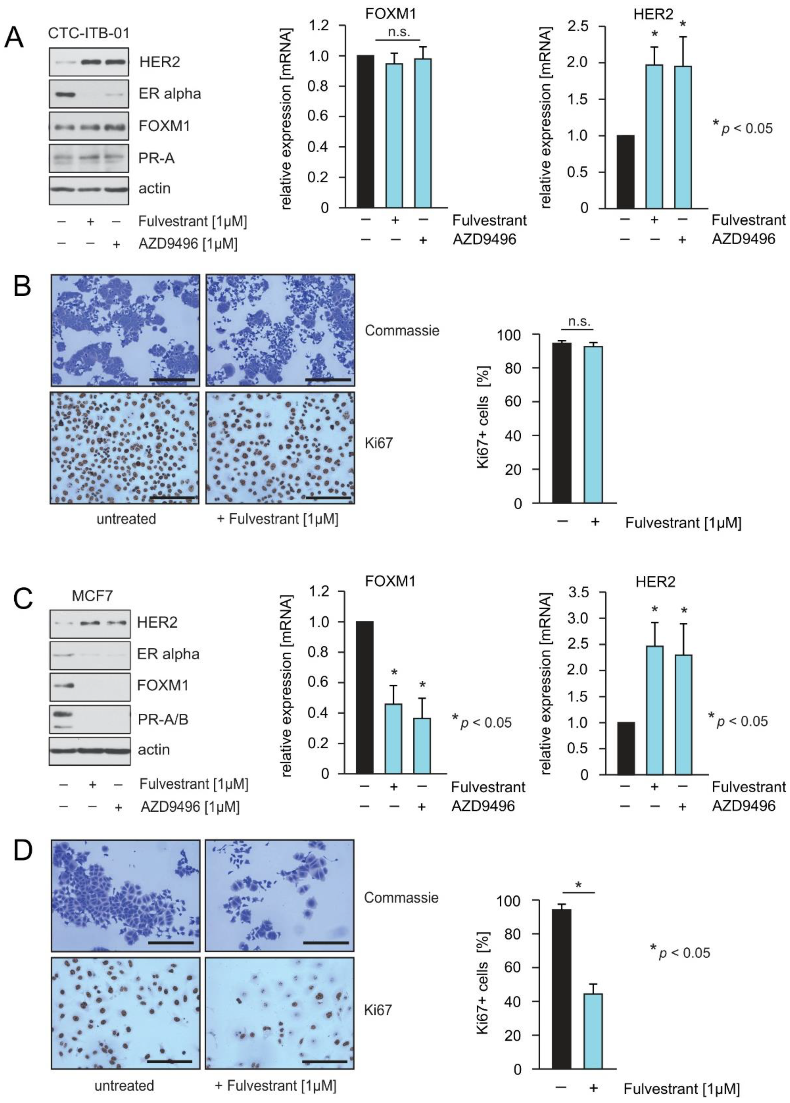 Cancers 13 01810 g002 Cancers 13 01810 g002