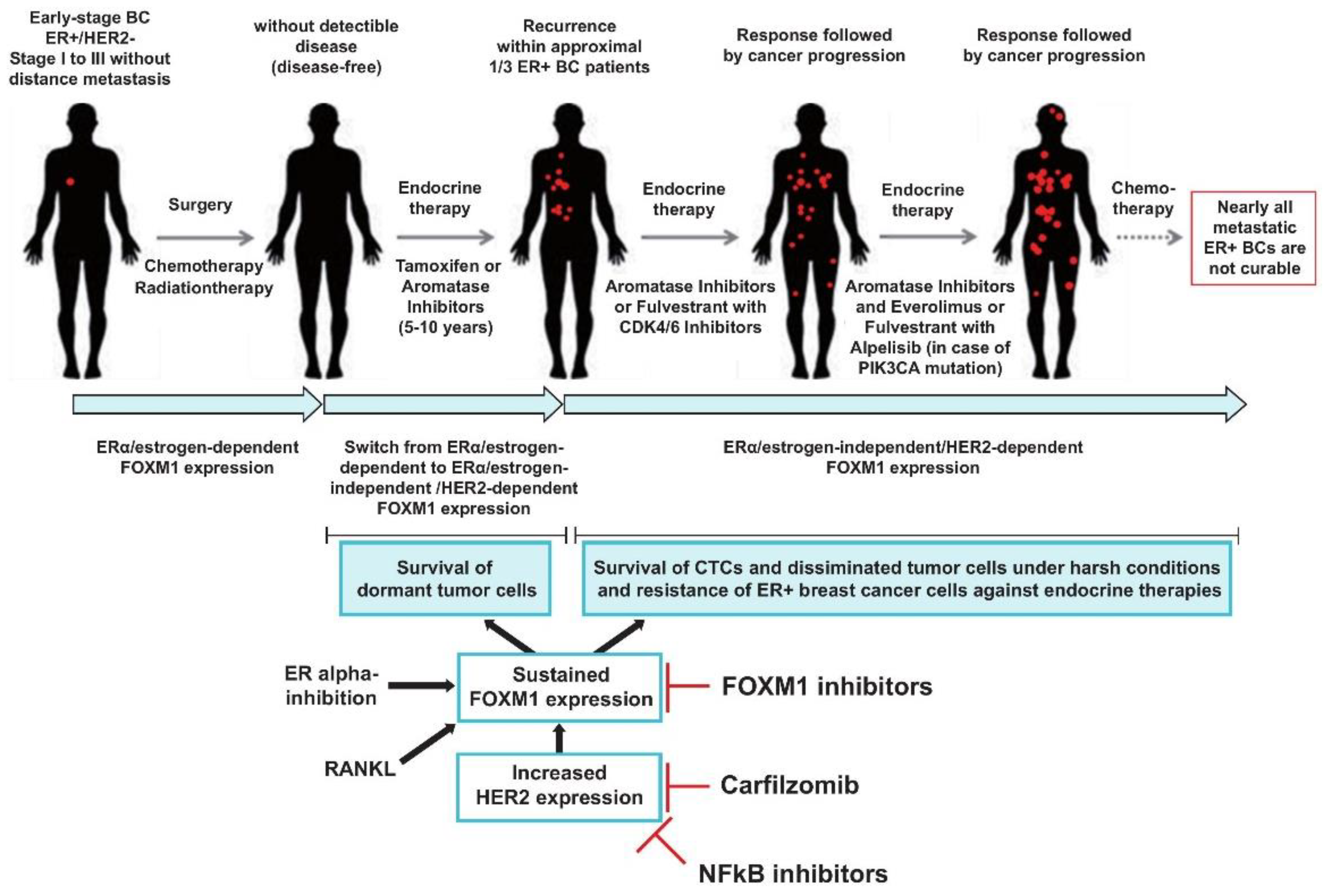 Cancers 13 01810 g007 Cancers 13 01810 g007