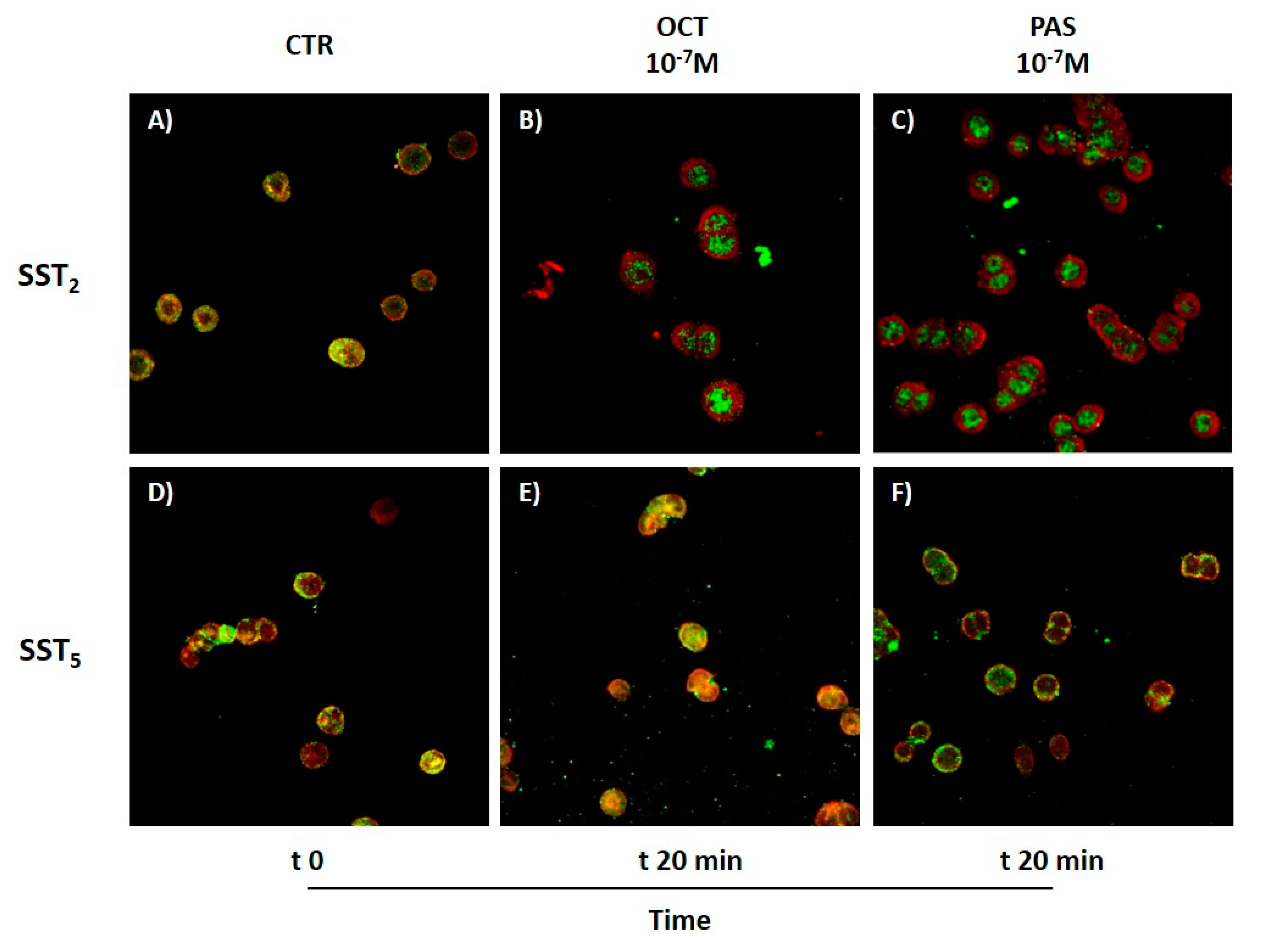 Cancers 13 01816 g006