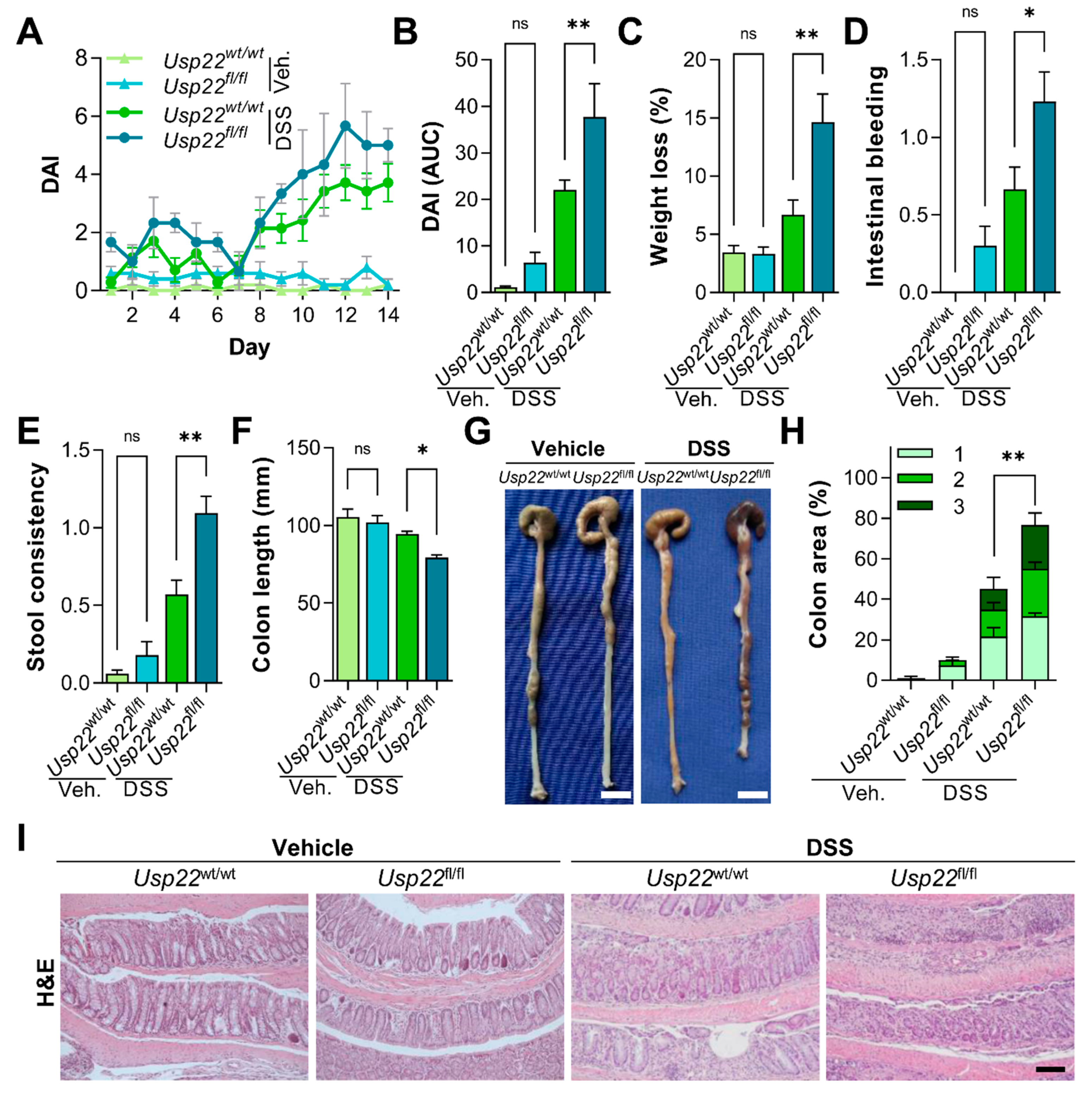 Cancers 13 01817 g001