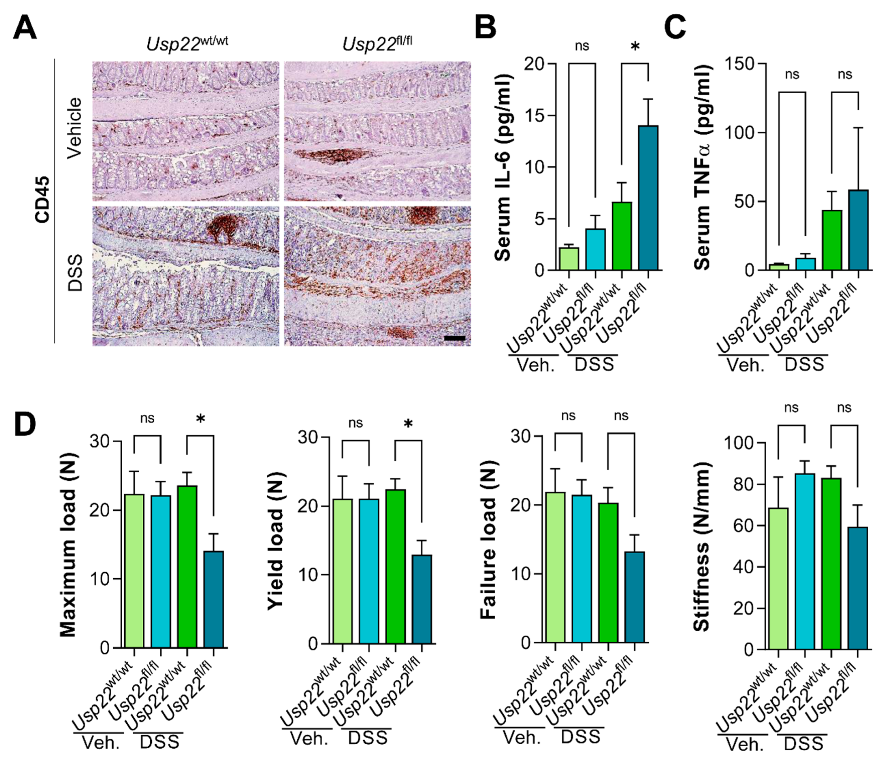 Cancers 13 01817 g002