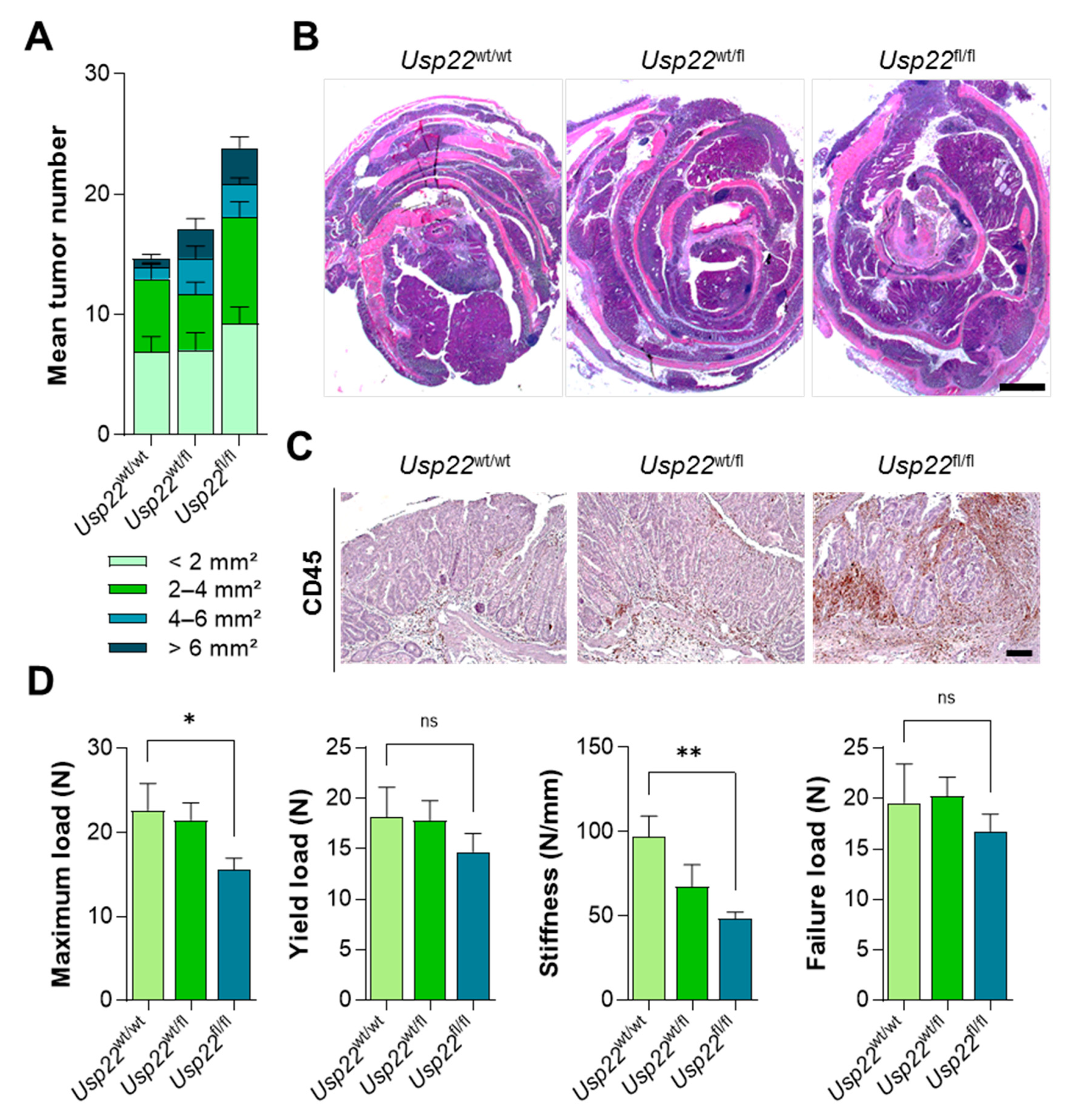 Cancers 13 01817 g004