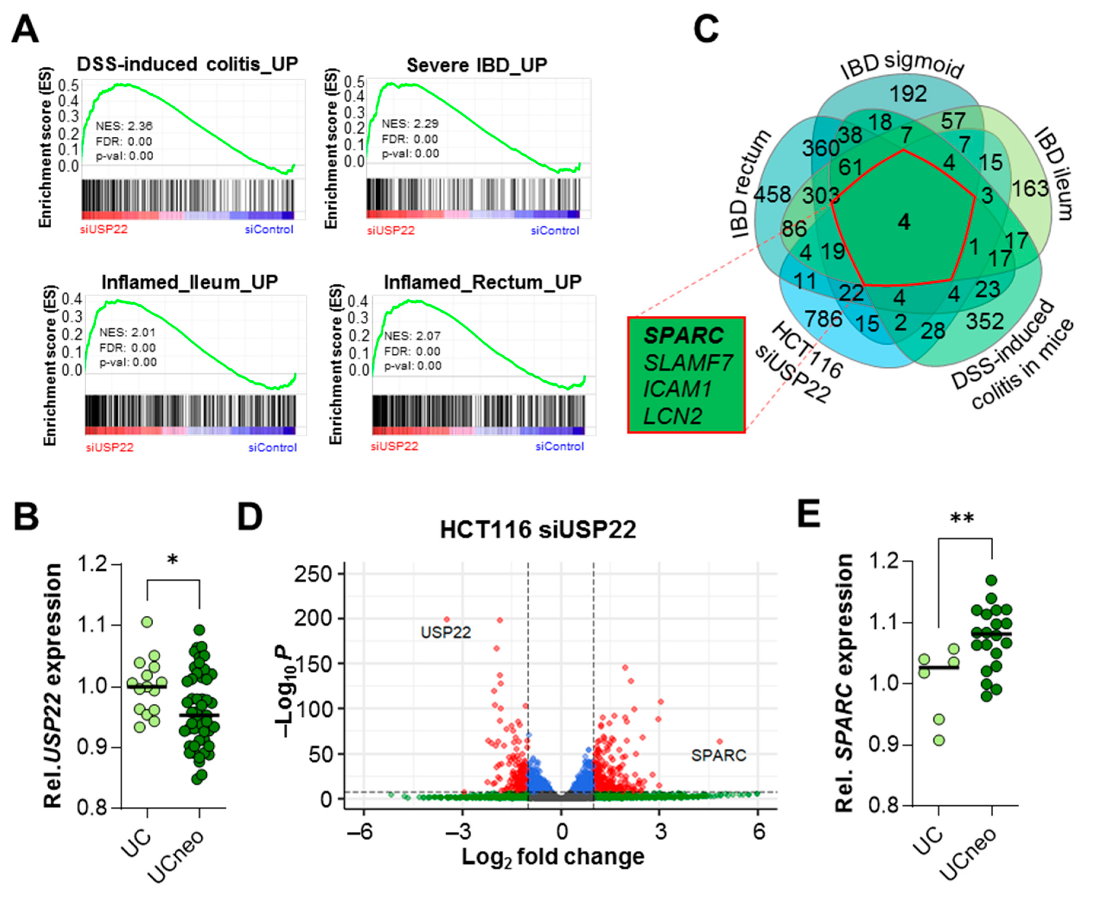 Cancers 13 01817 g005