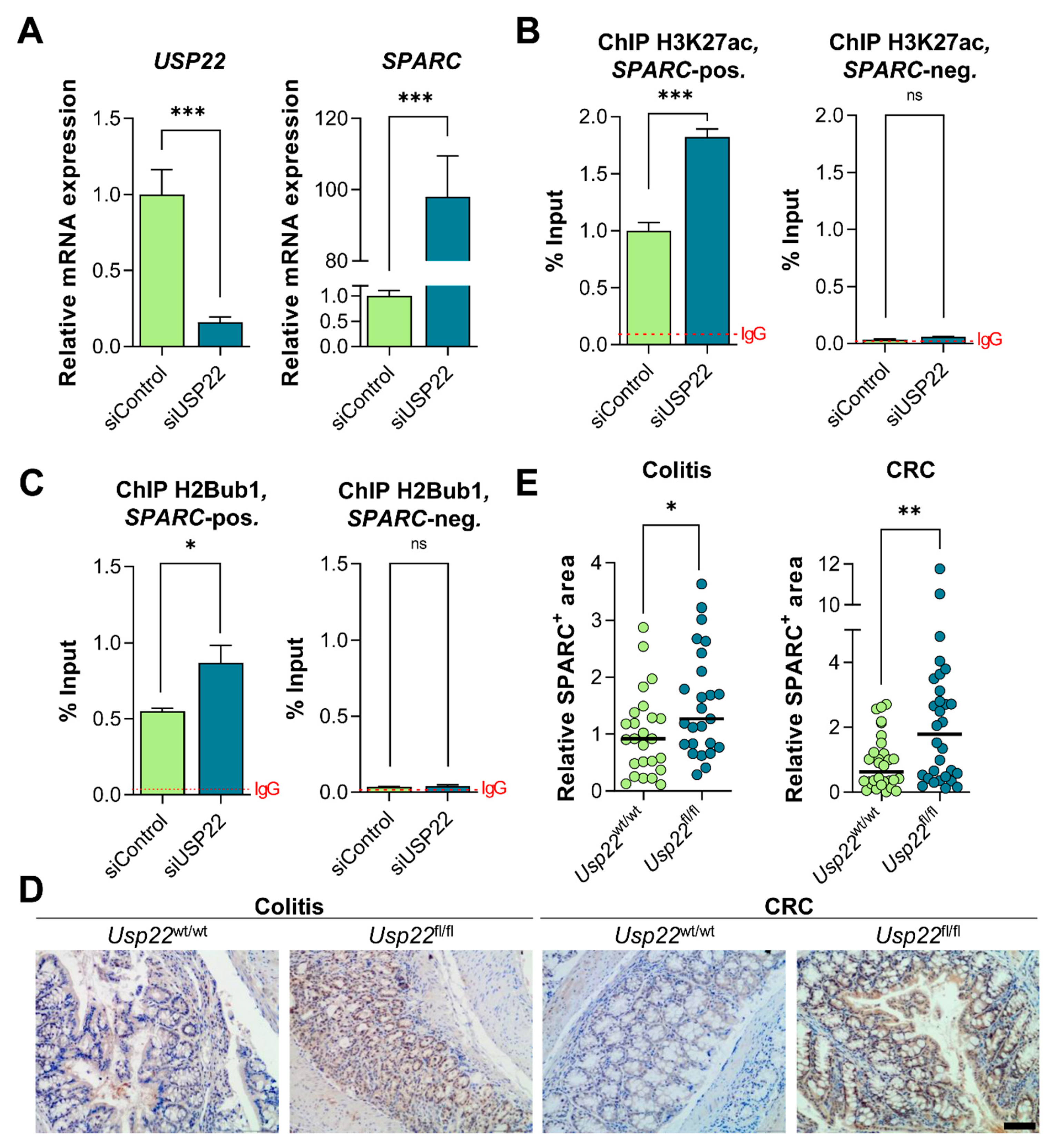 Cancers 13 01817 g006