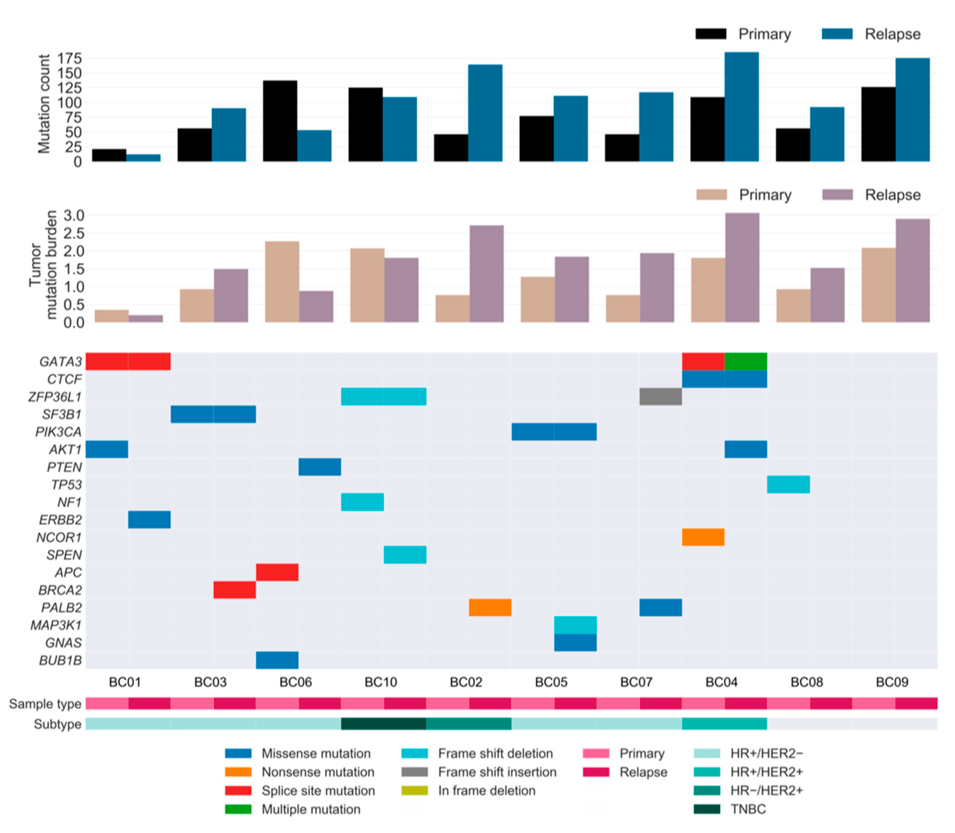 Cancers 13 01821 g003 Cancers 13 01821 g003