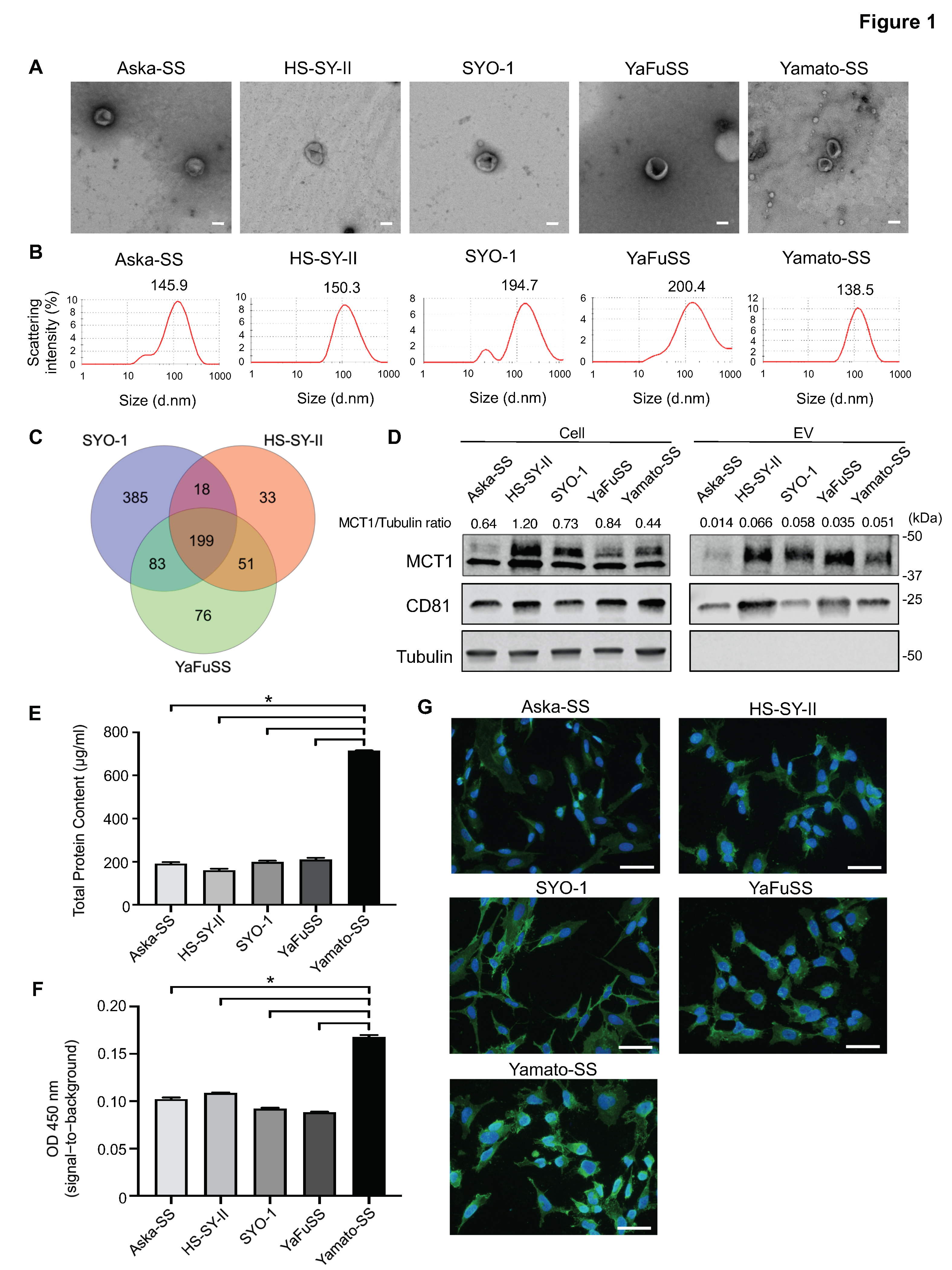 Cancers 13 01823 g001