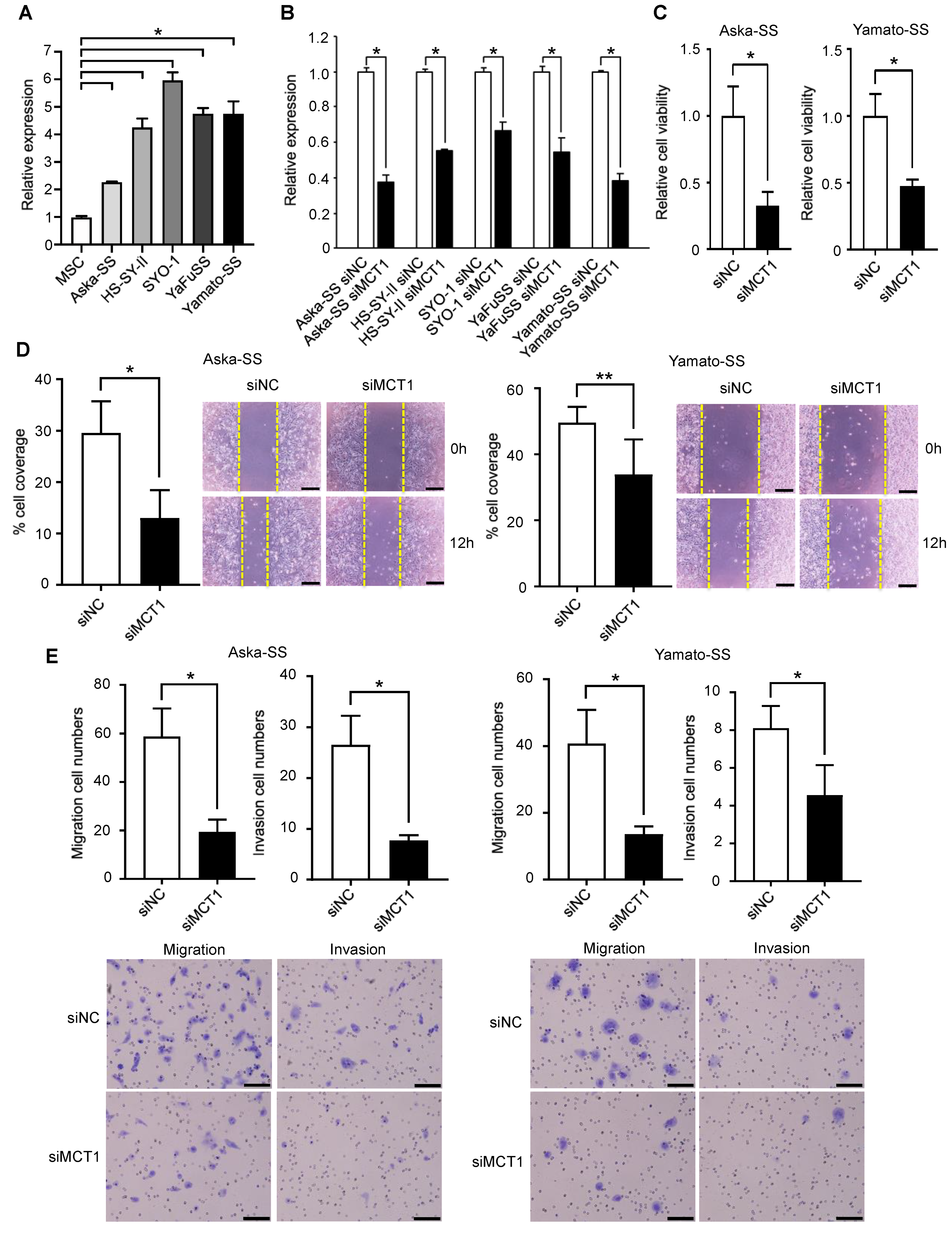 Cancers 13 01823 g005
