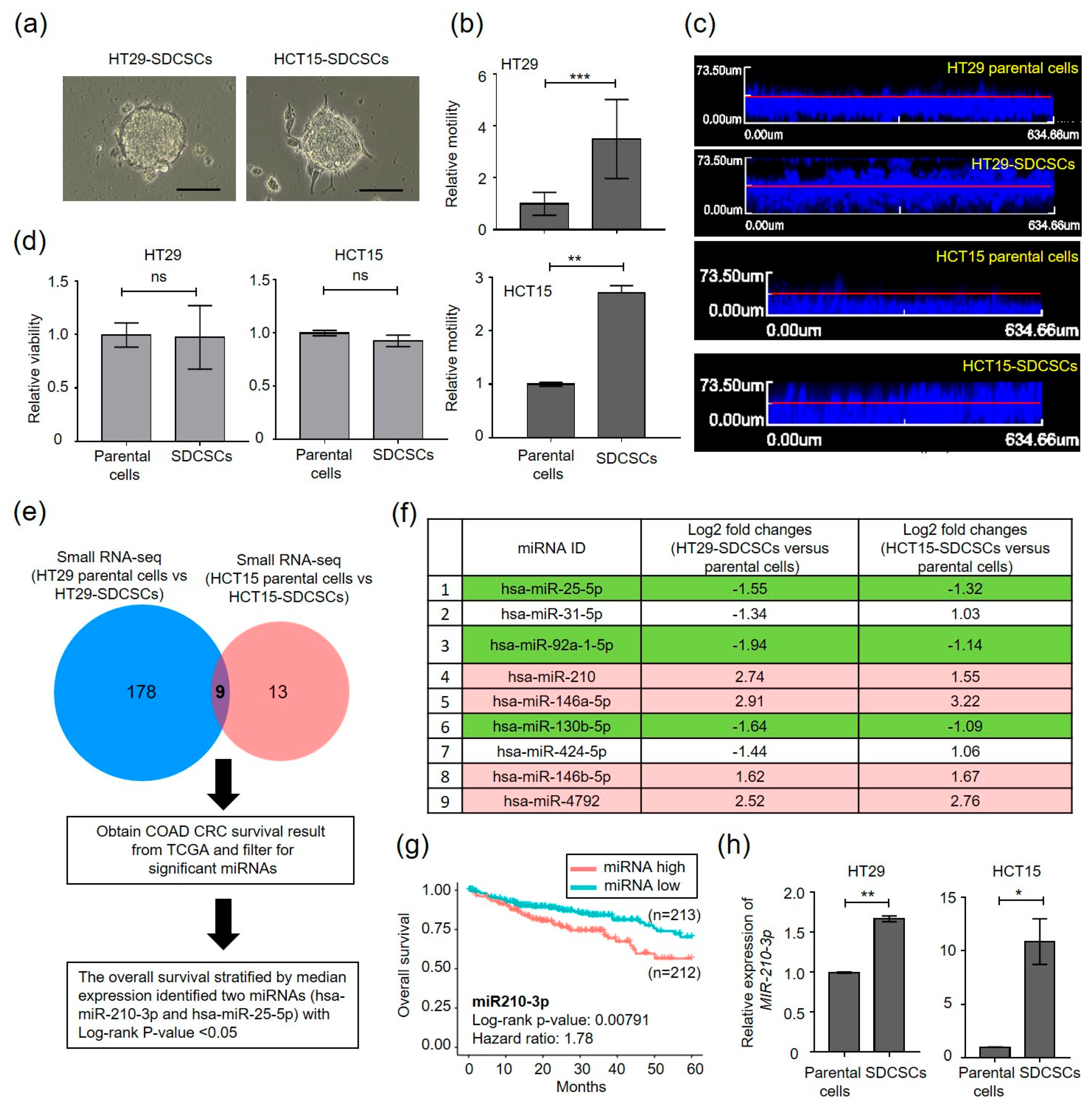 Cancers 13 01833 g001