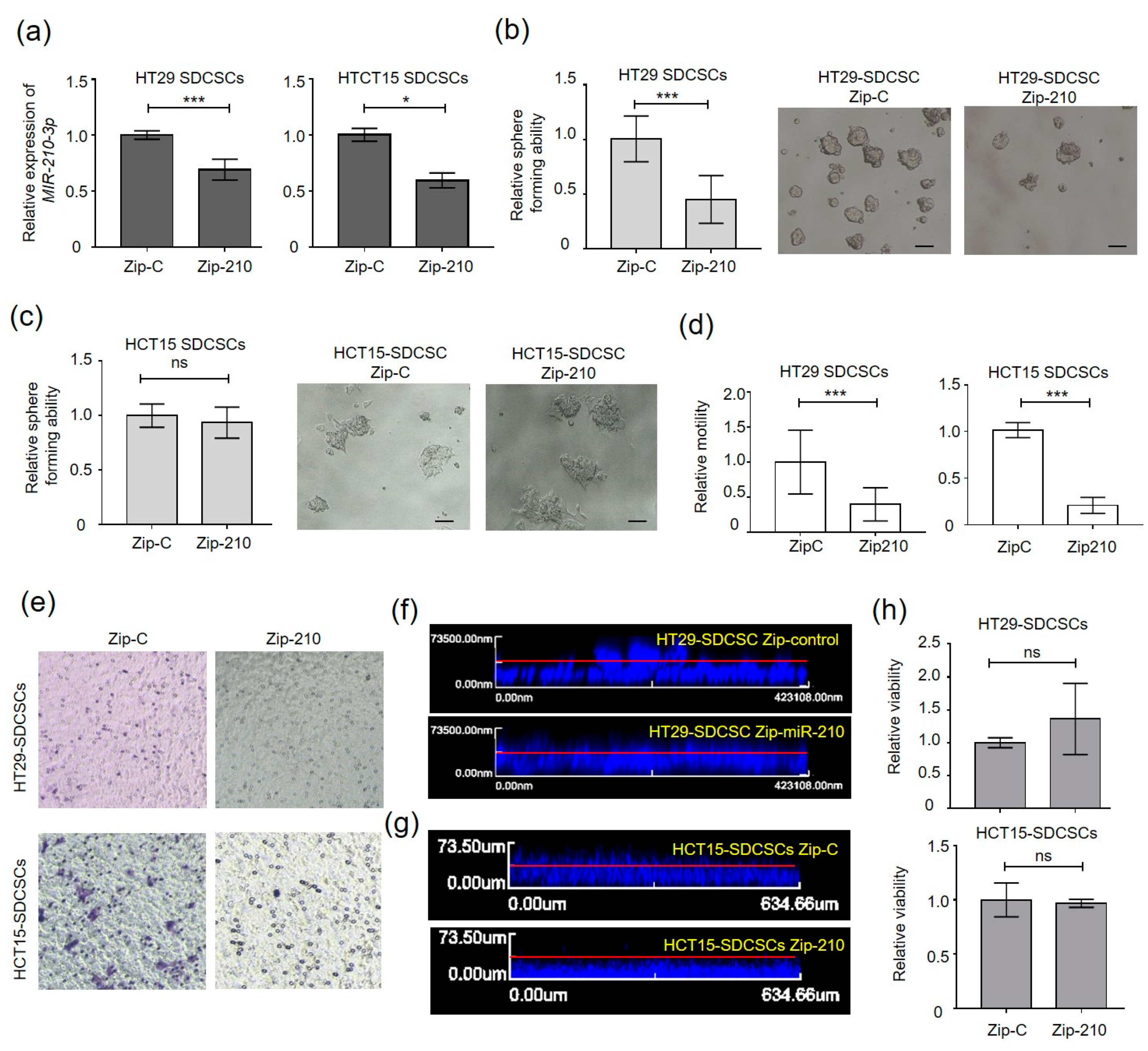 Cancers 13 01833 g002