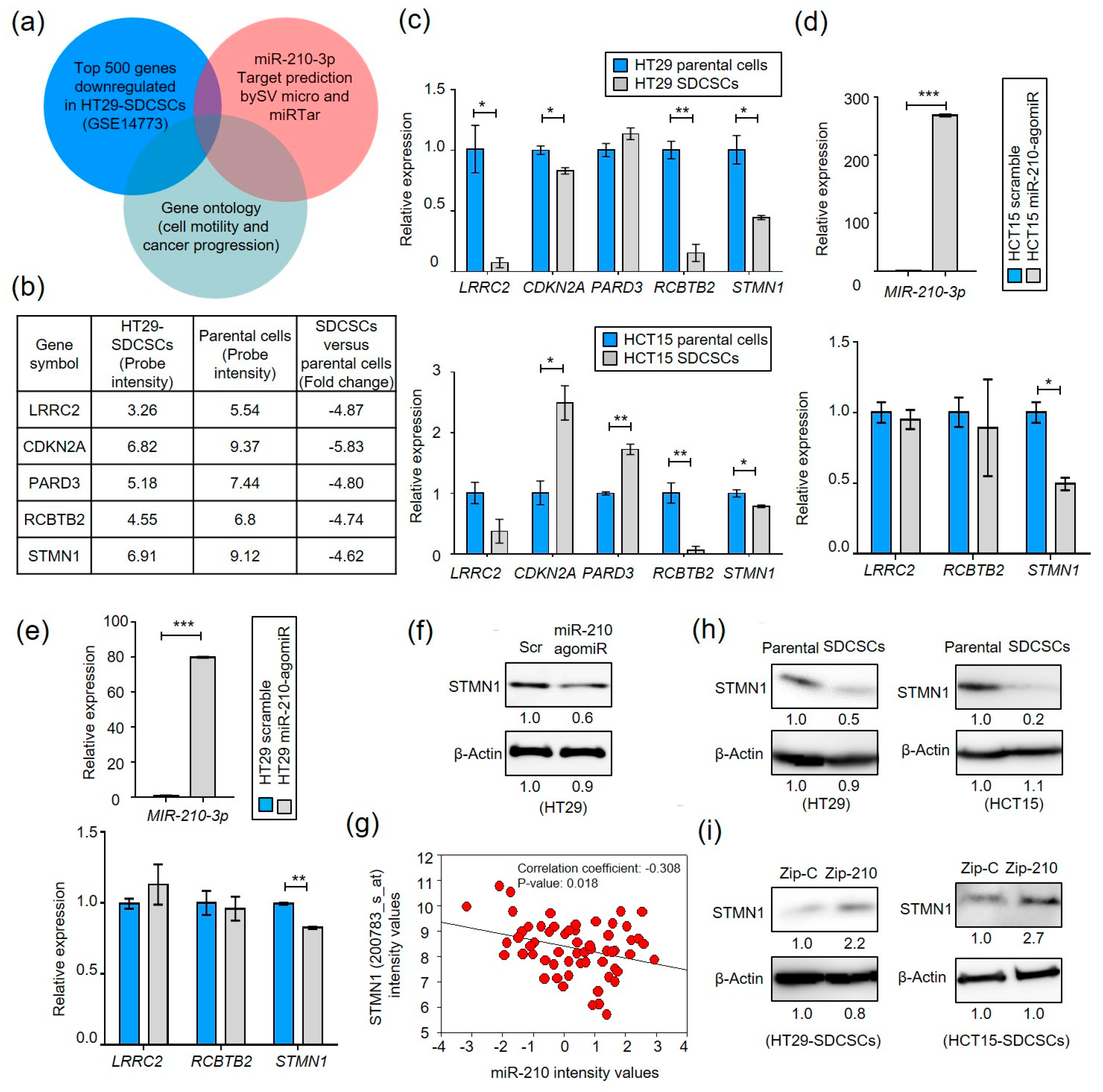 Cancers 13 01833 g003