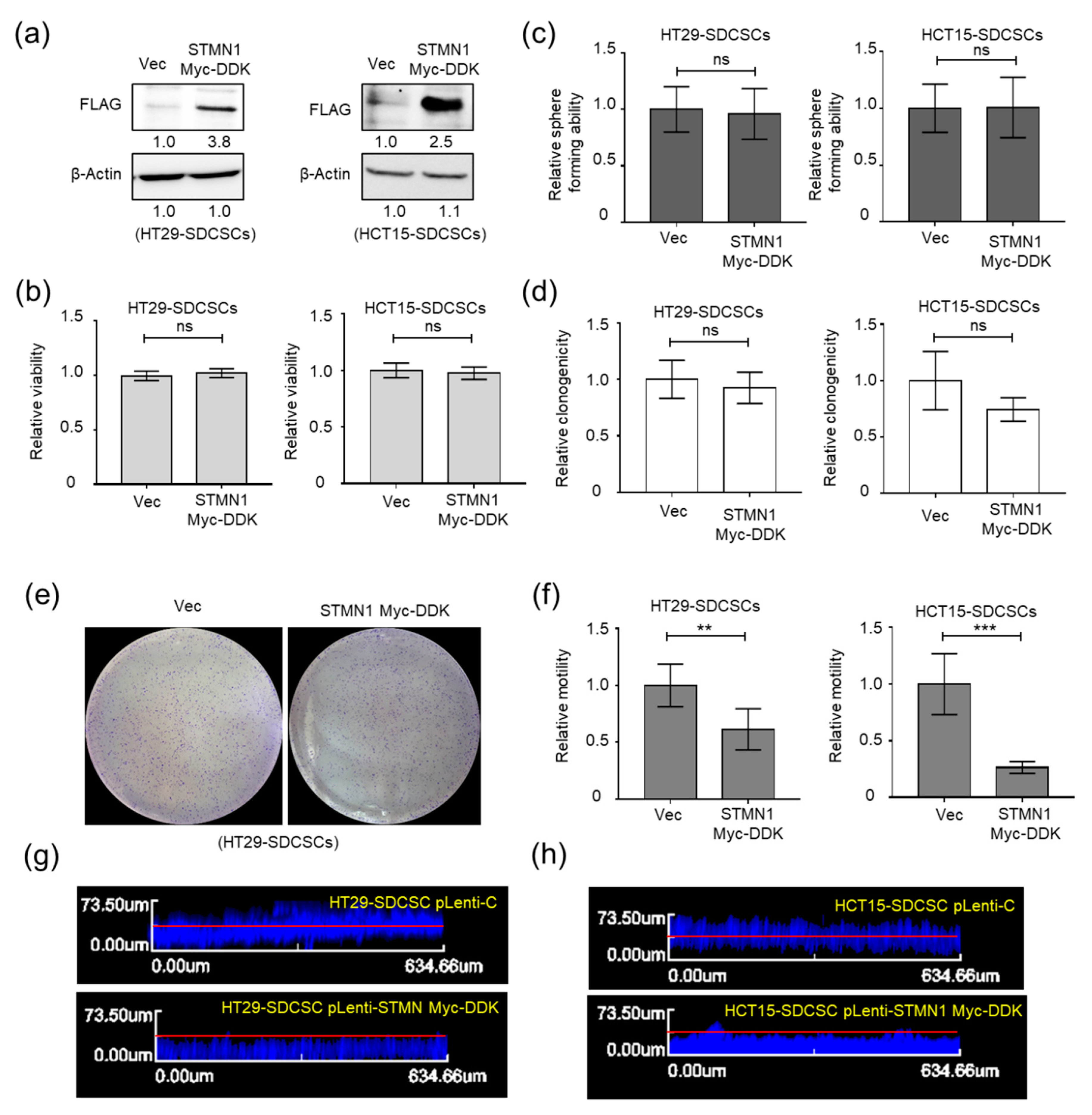 Cancers 13 01833 g004
