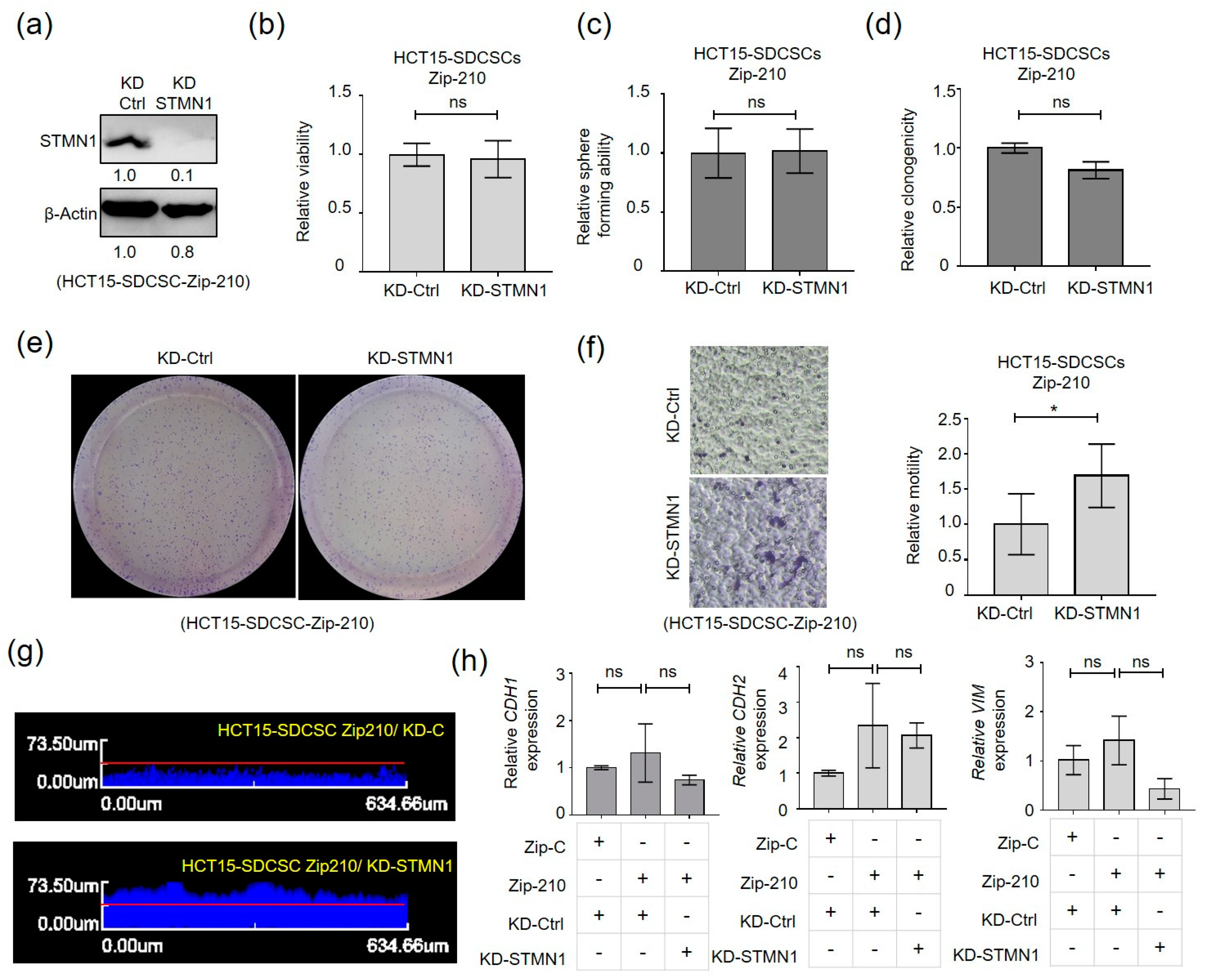 Cancers 13 01833 g005