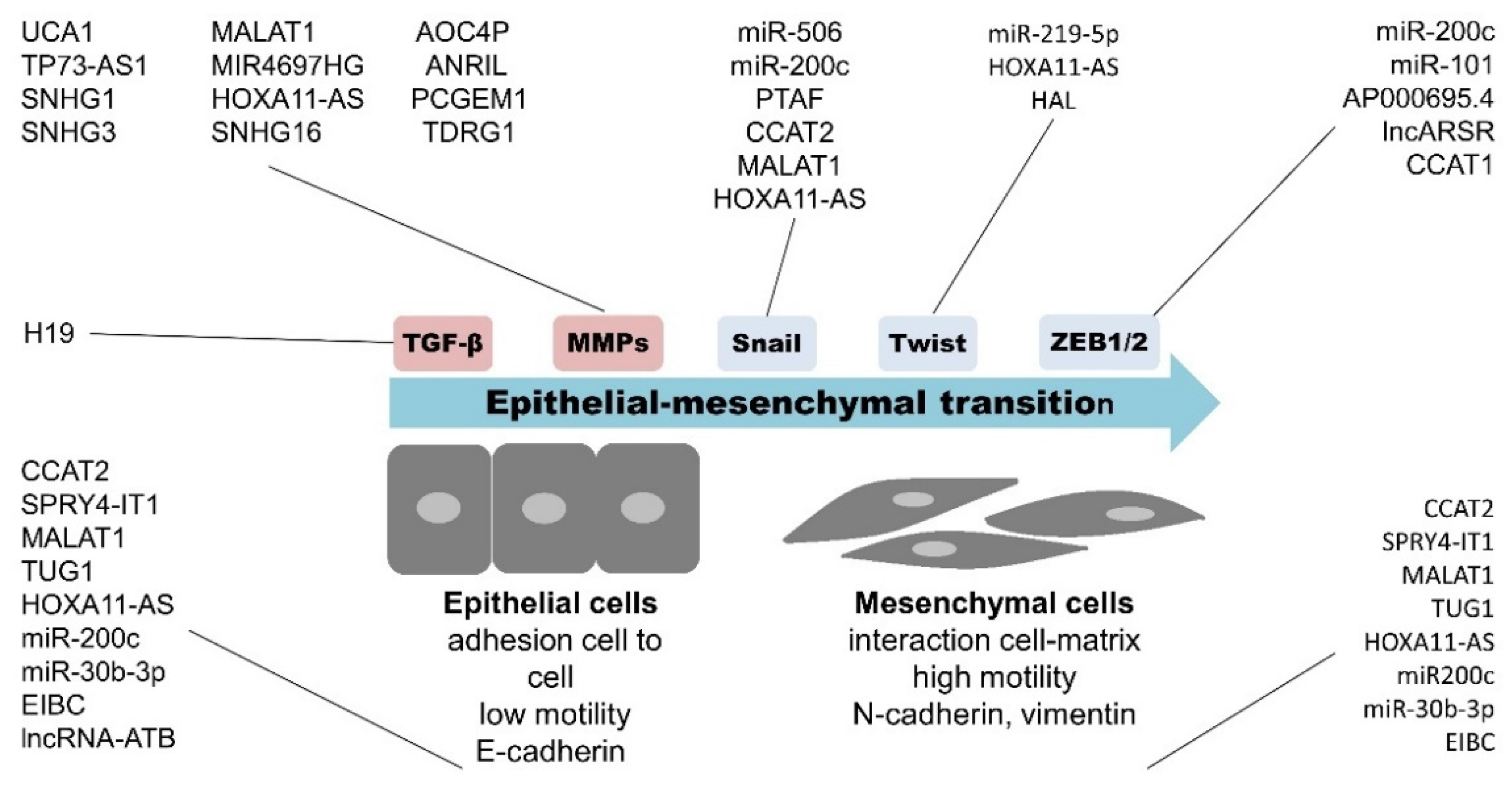 Cancers 13 01839 g003
