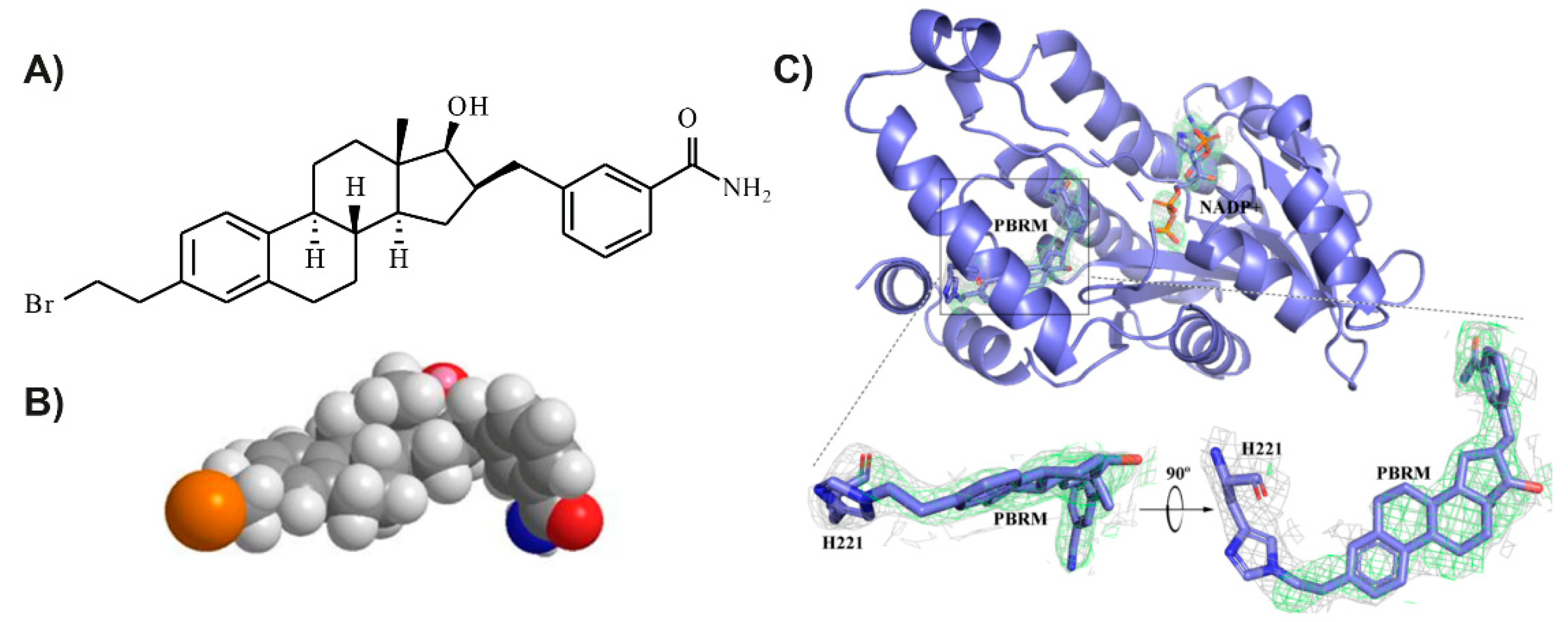 Cancers 13 01841 g002