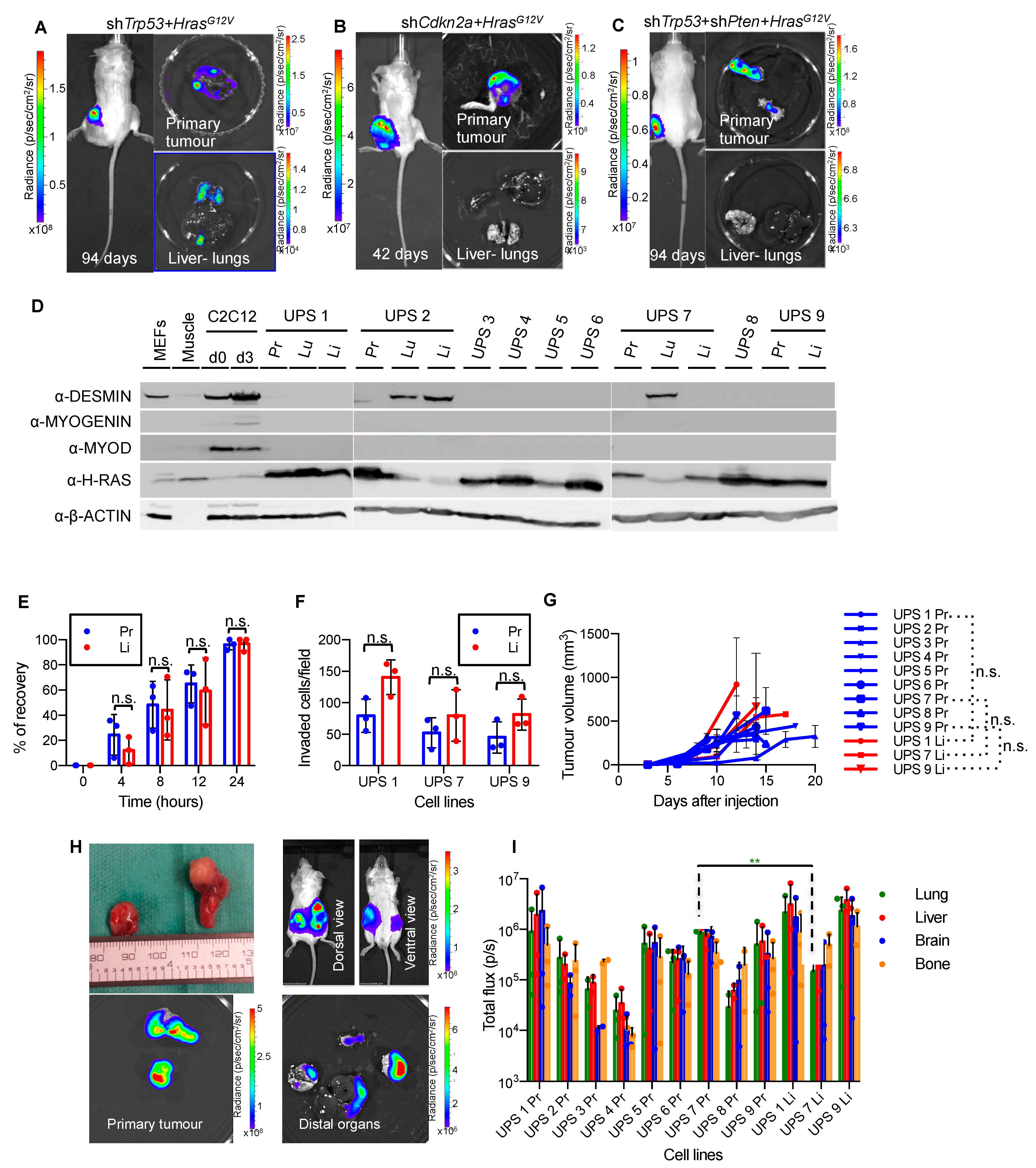 Cancers 13 01852 g001