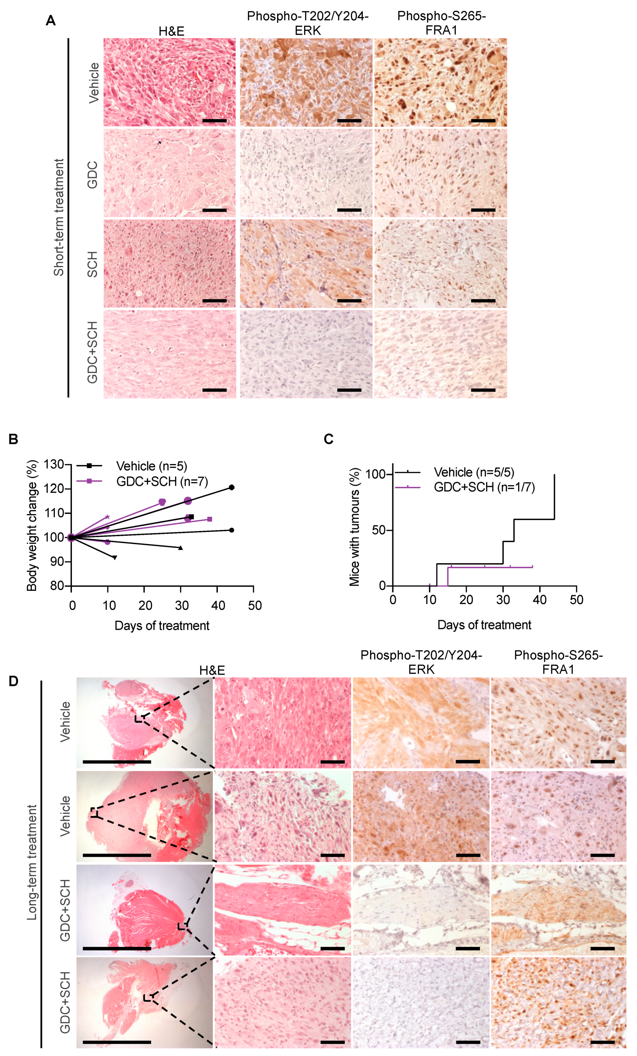 Cancers 13 01852 g005