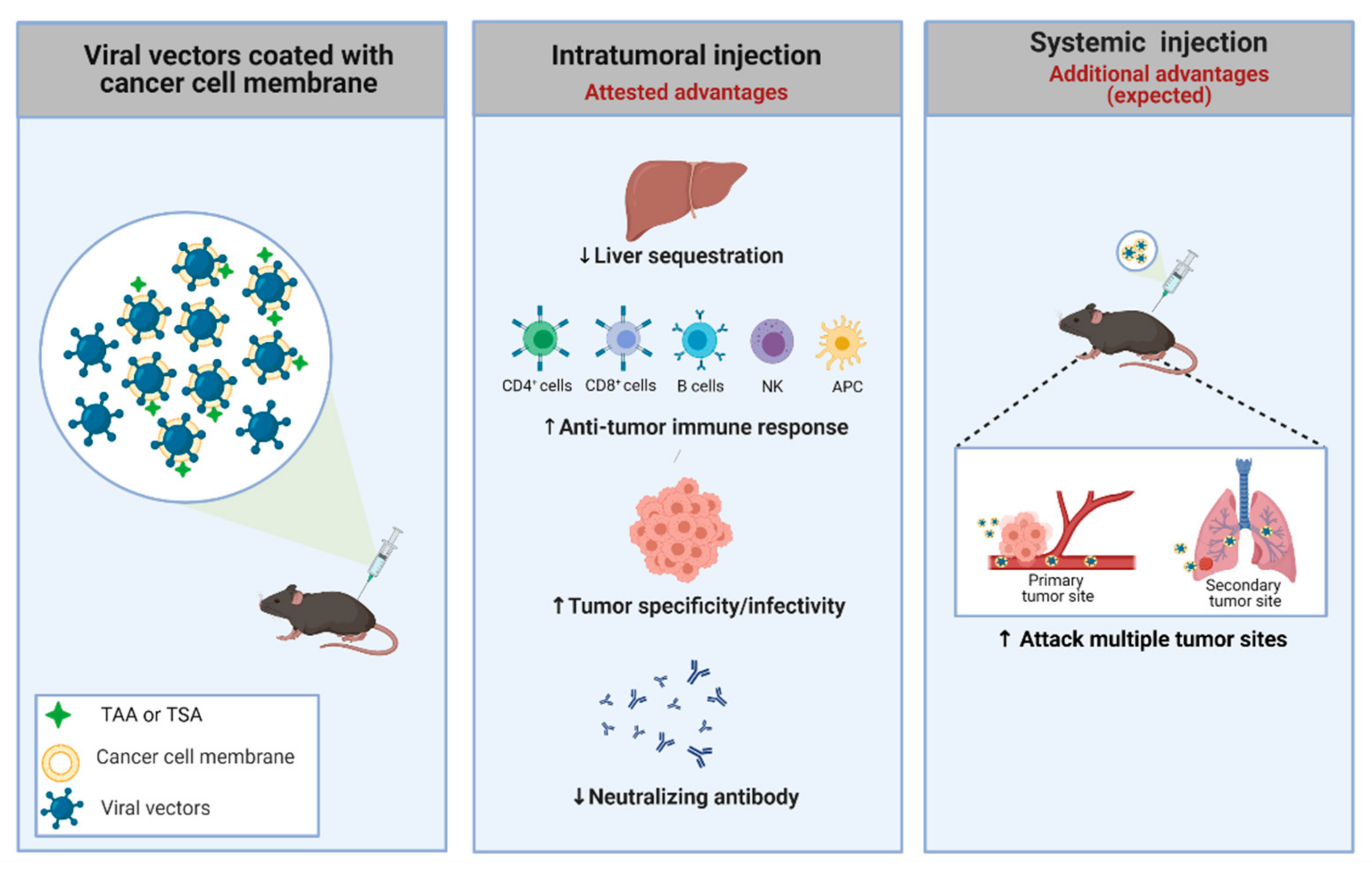 Cancers 13 01863 g002