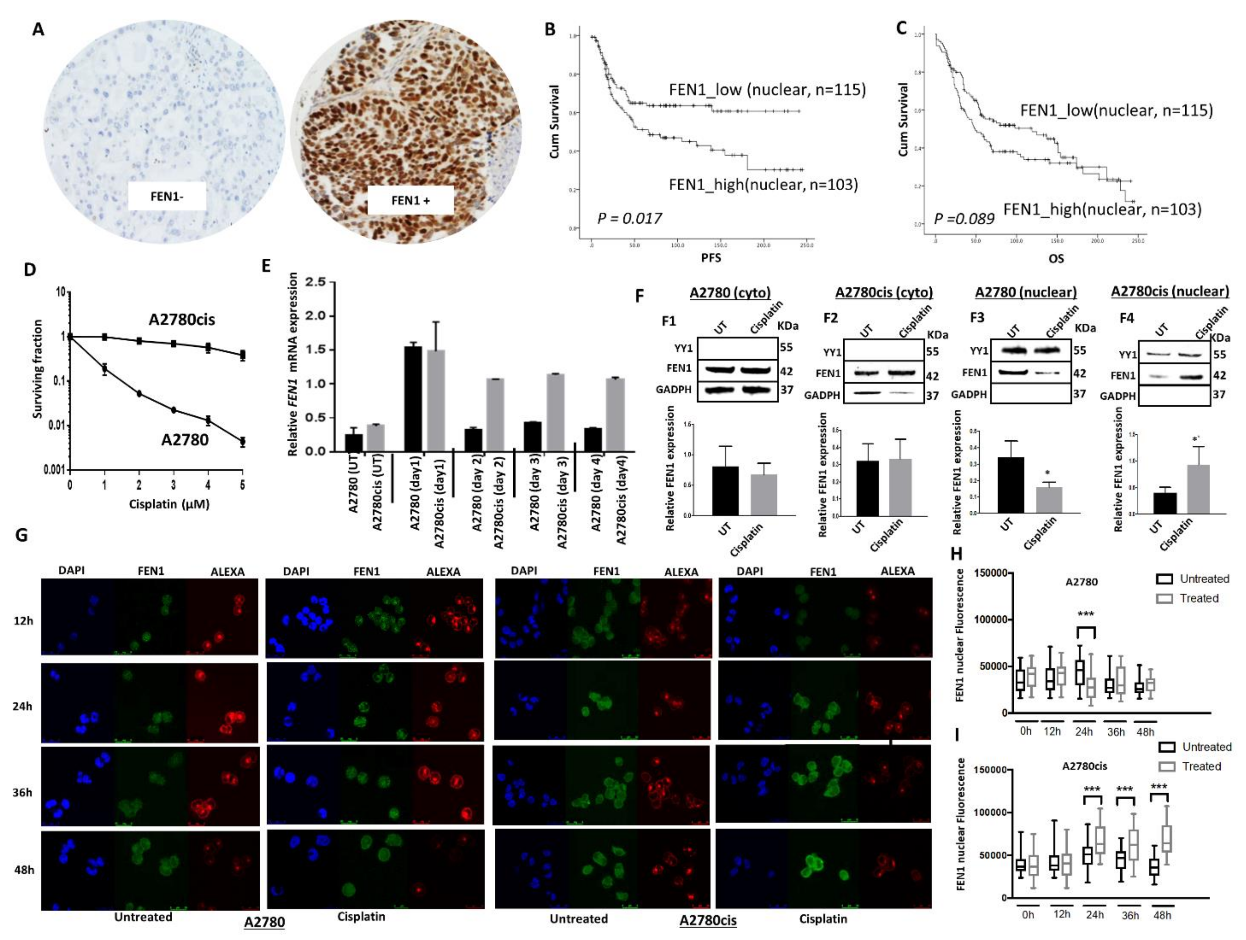 Cancers 13 01866 g001 Cancers 13 01866 g001