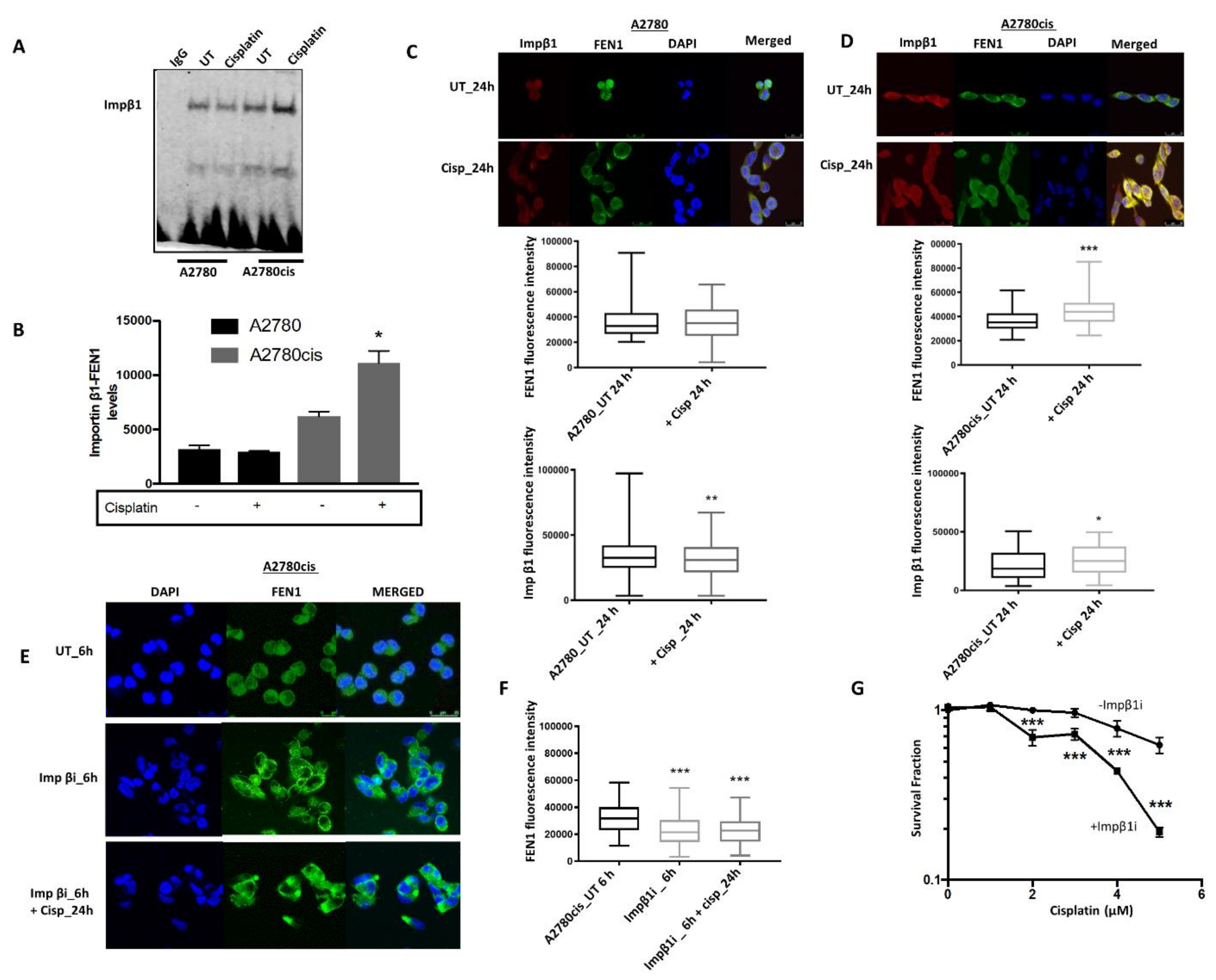 Cancers 13 01866 g002 Cancers 13 01866 g002