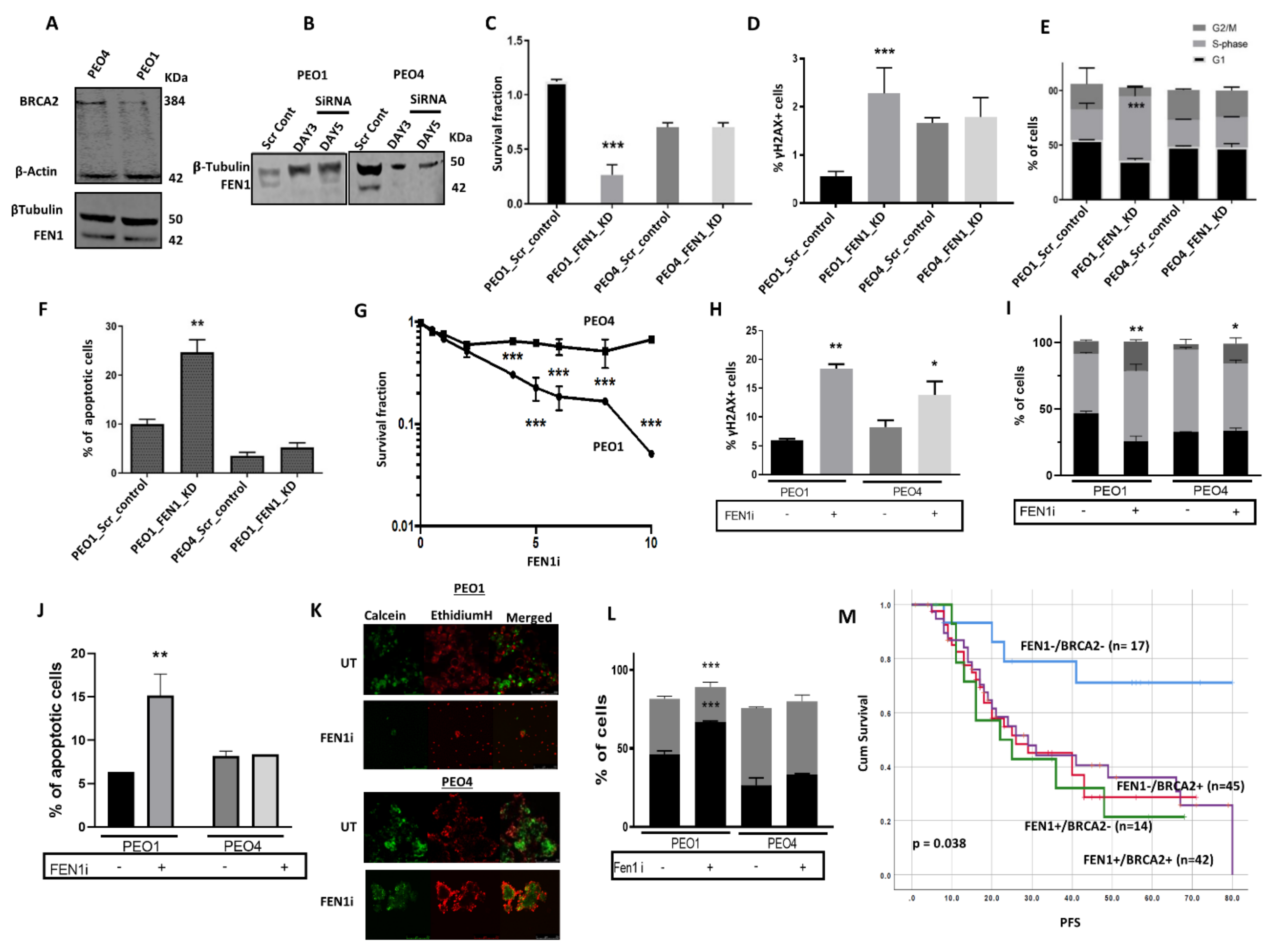Cancers 13 01866 g005 Cancers 13 01866 g005