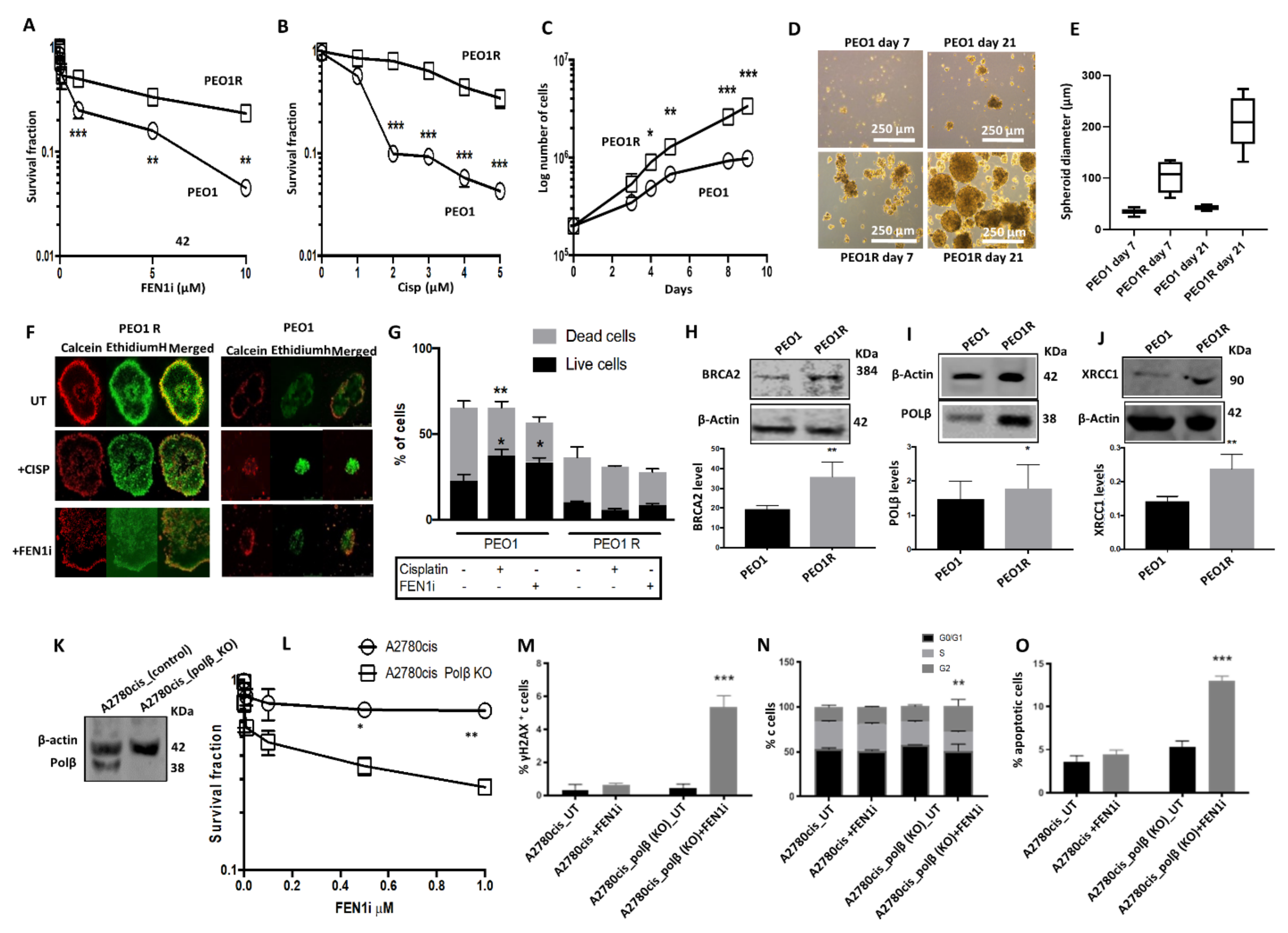Cancers 13 01866 g006 Cancers 13 01866 g006