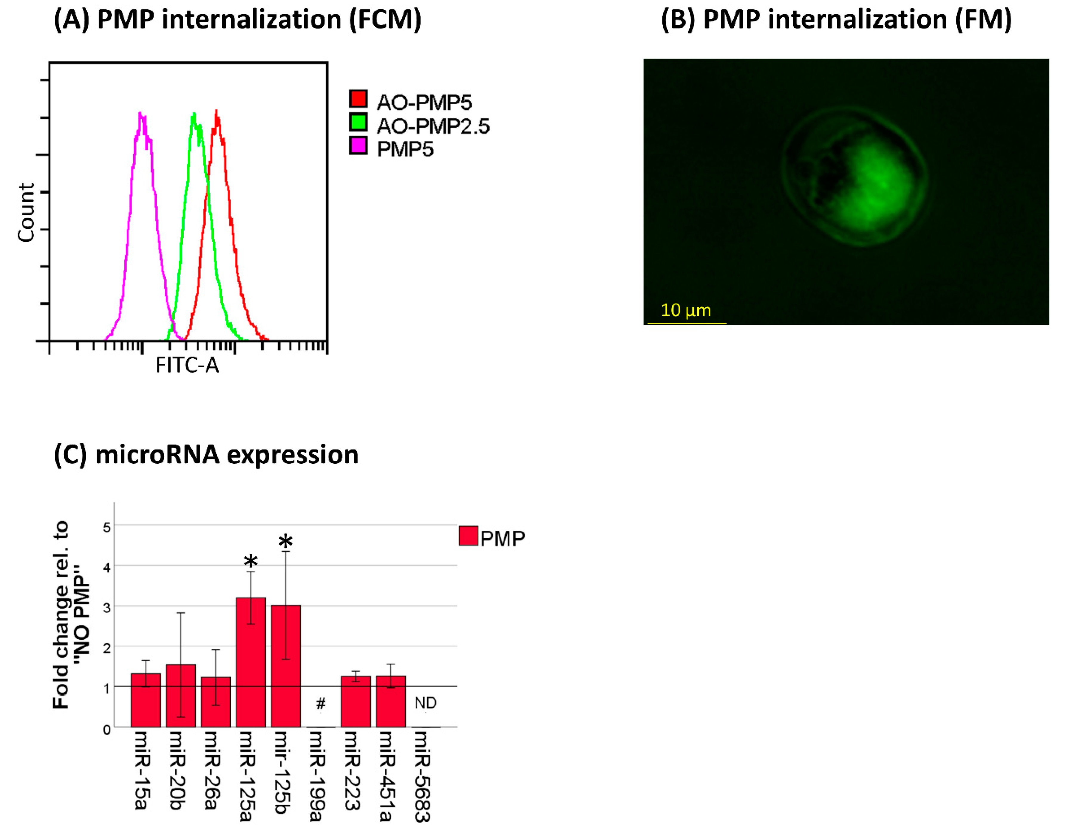 Cancers 13 01870 g001