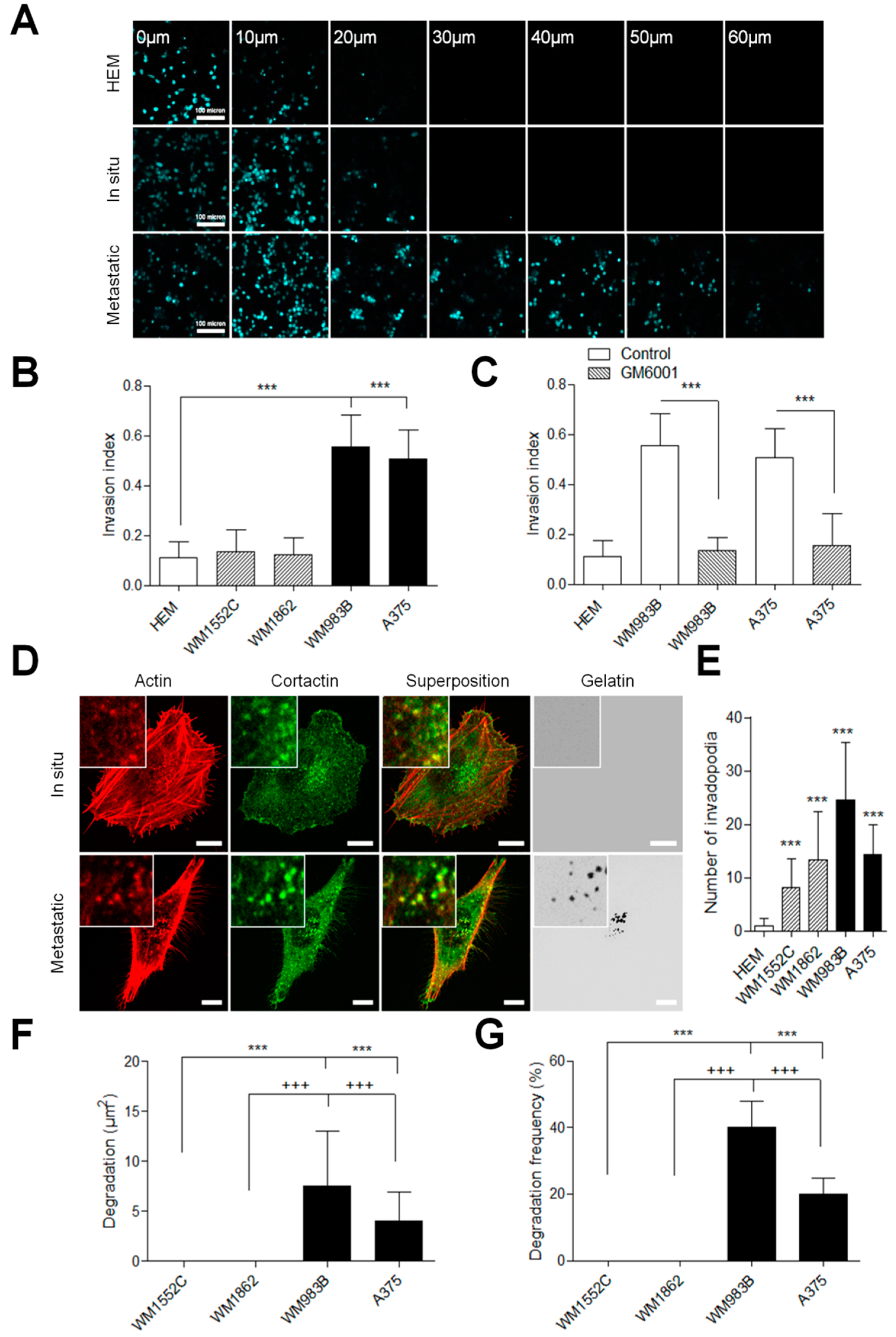 Cancers 13 01871 g001