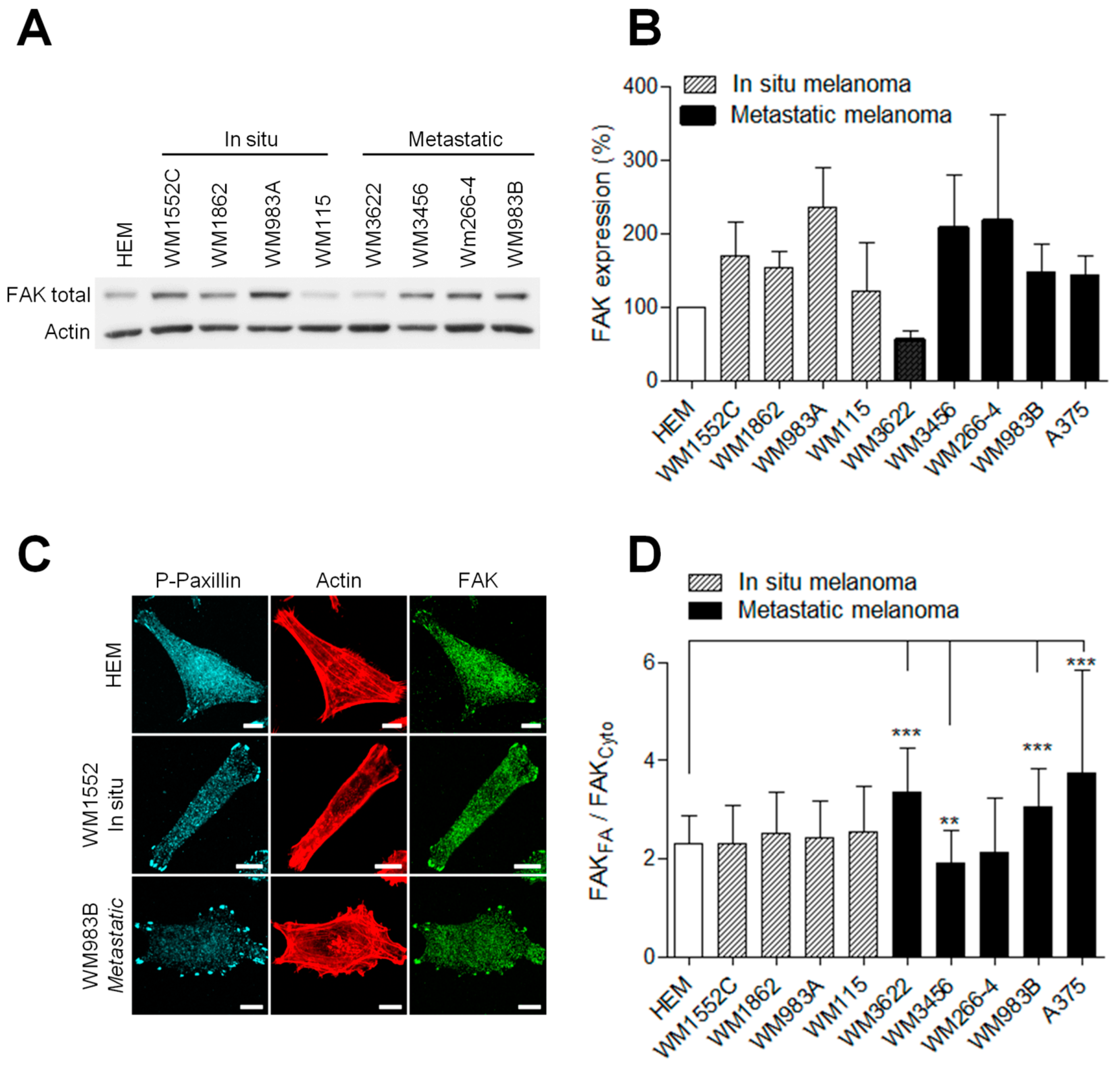 Cancers 13 01871 g002