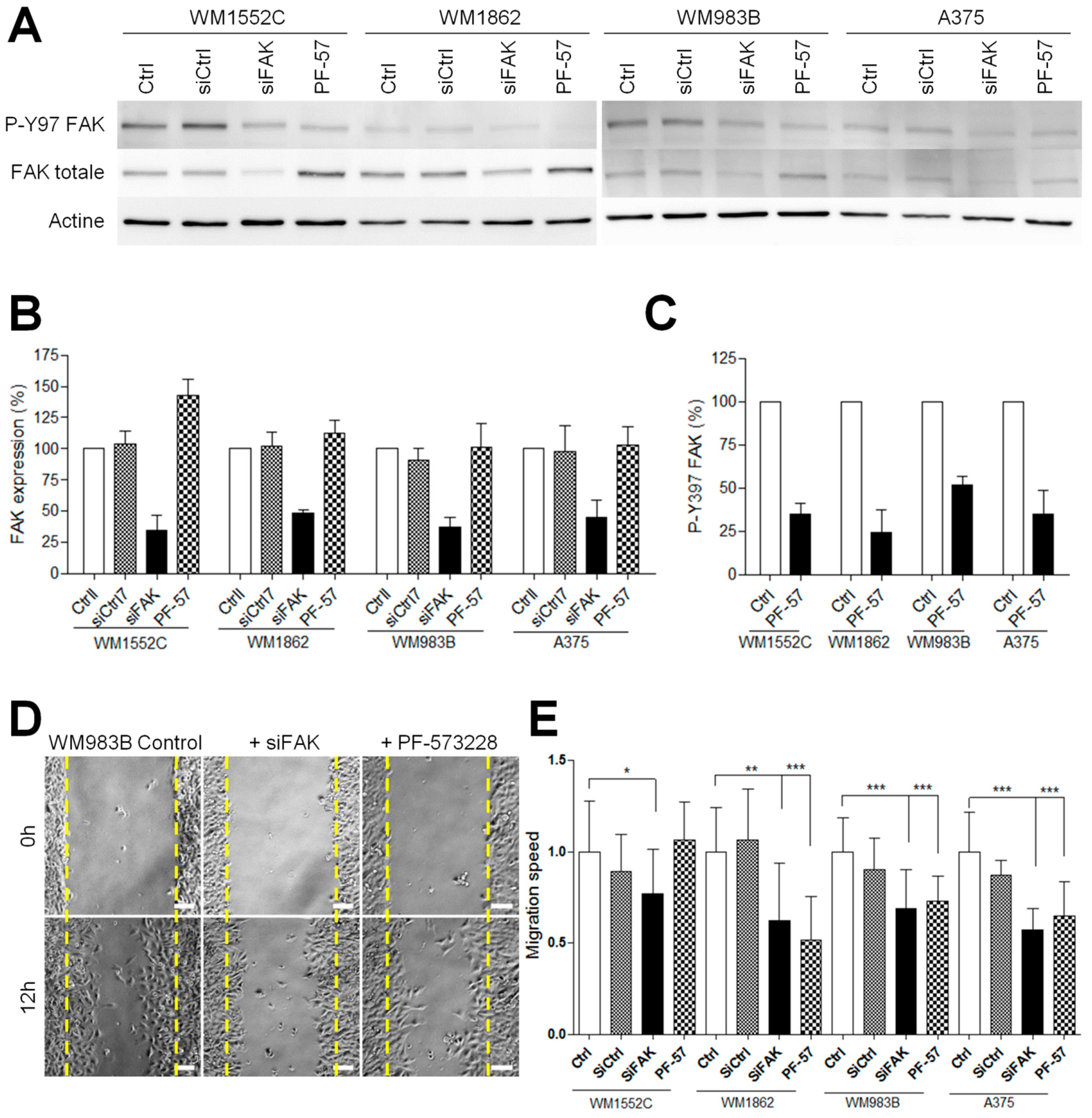 Cancers 13 01871 g003