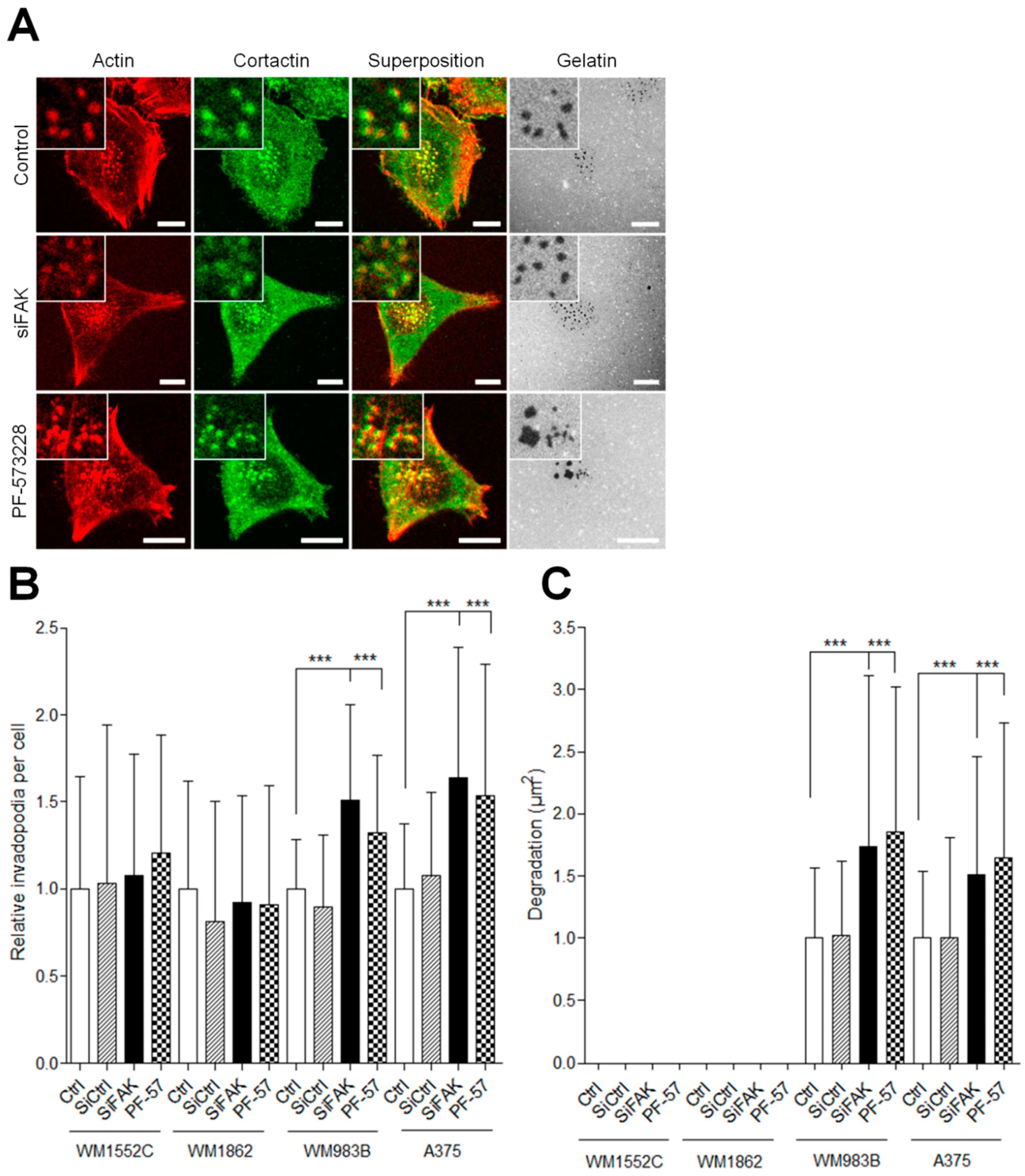 Cancers 13 01871 g004