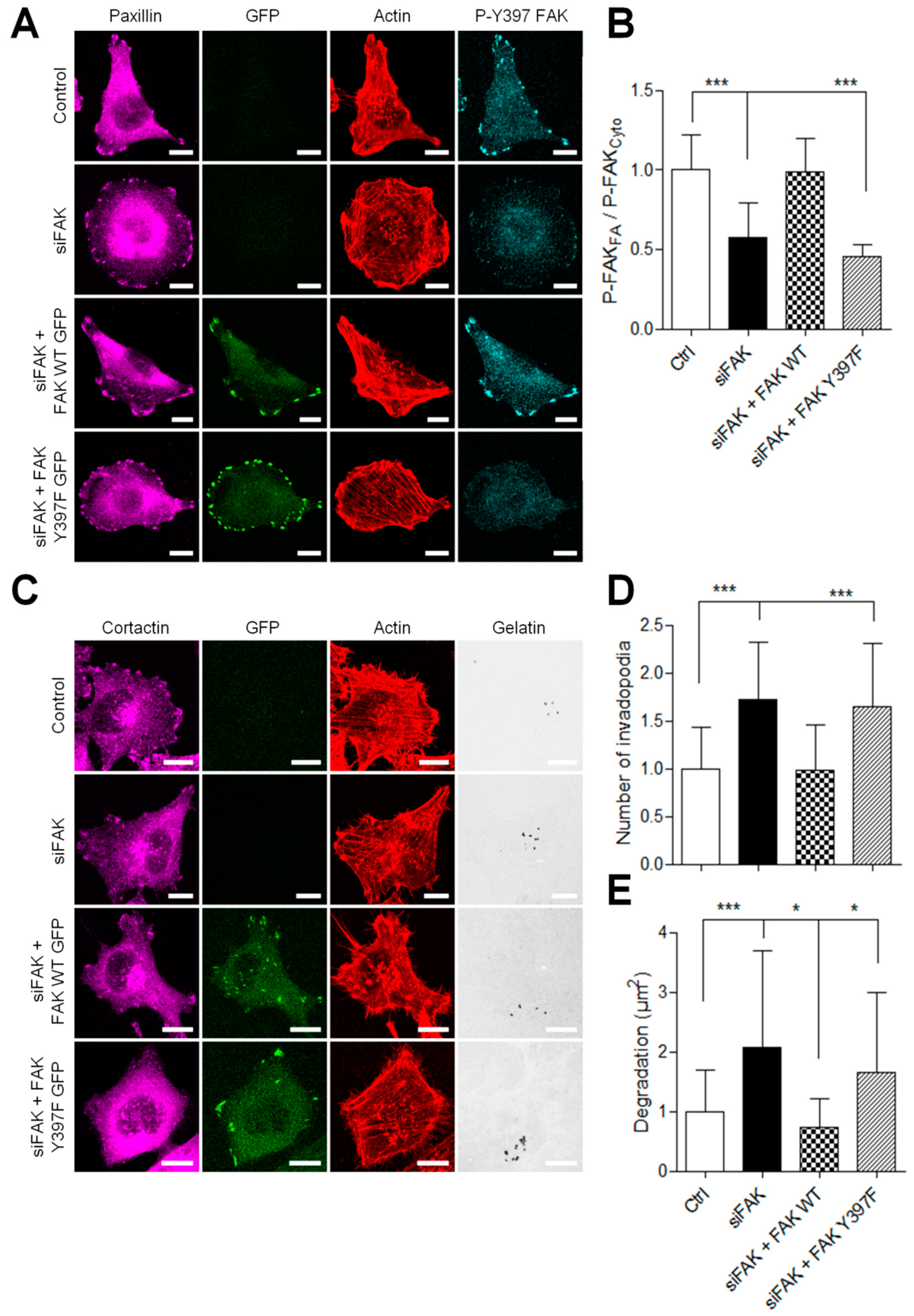 Cancers 13 01871 g005
