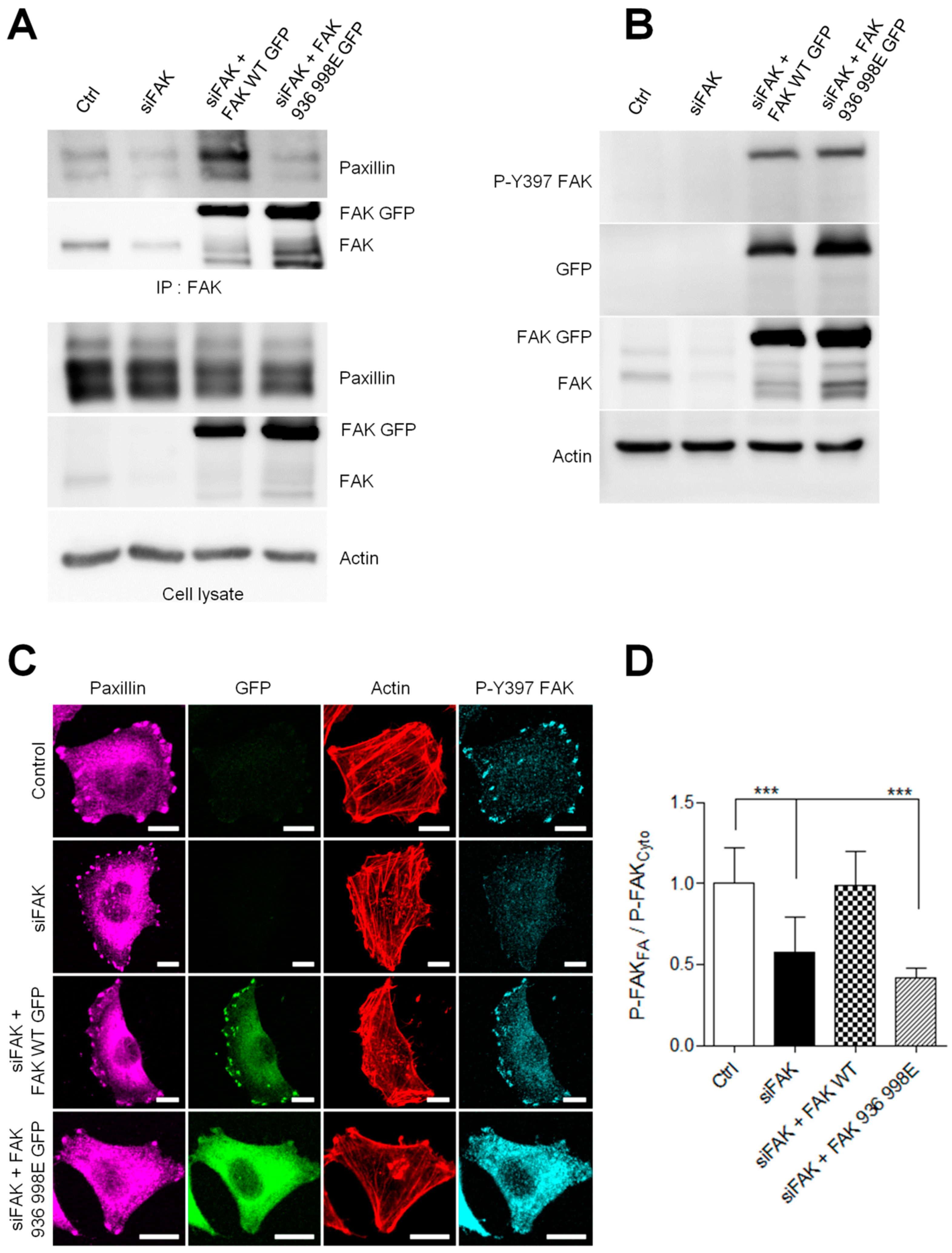 Cancers 13 01871 g006
