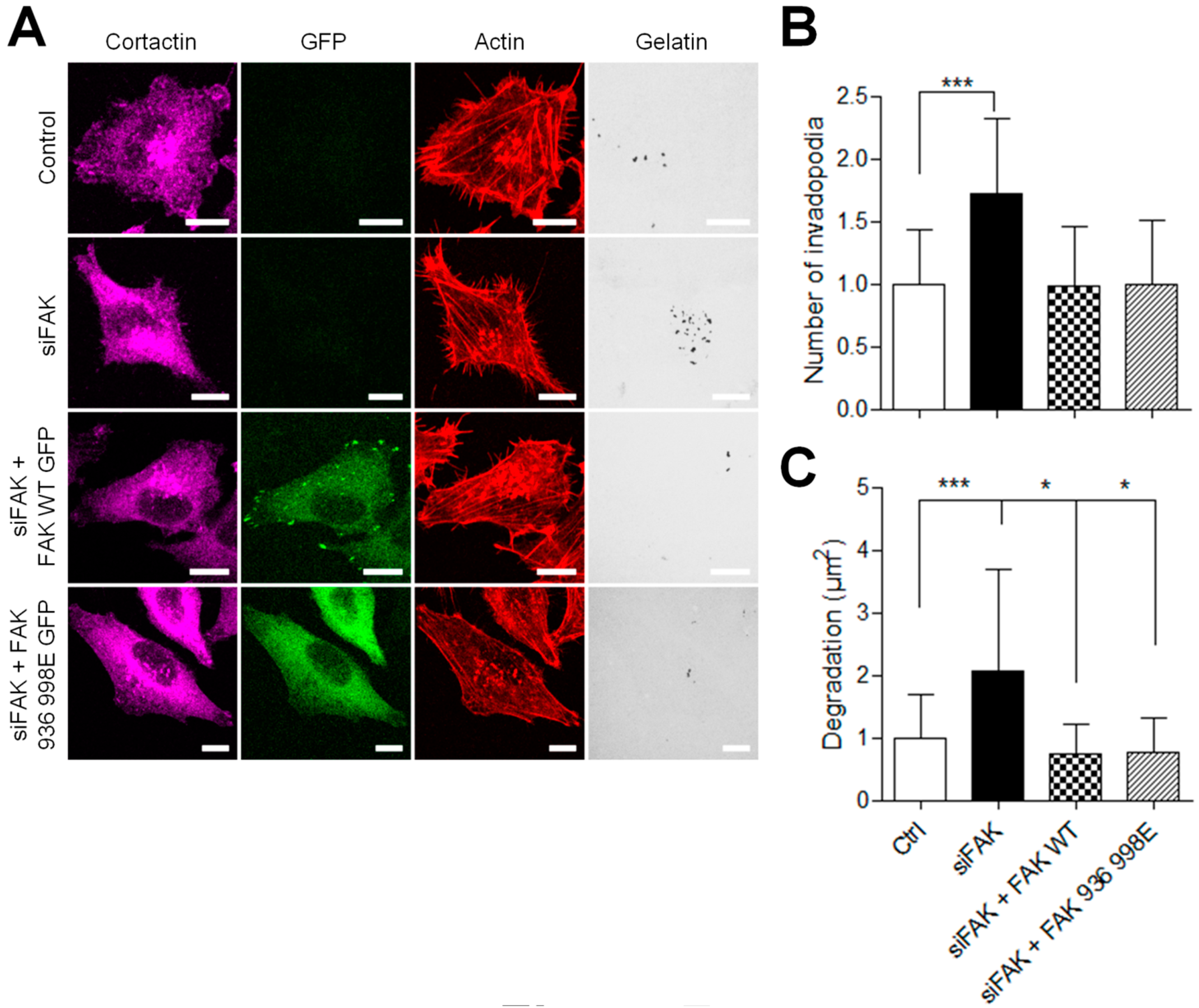 Cancers 13 01871 g007