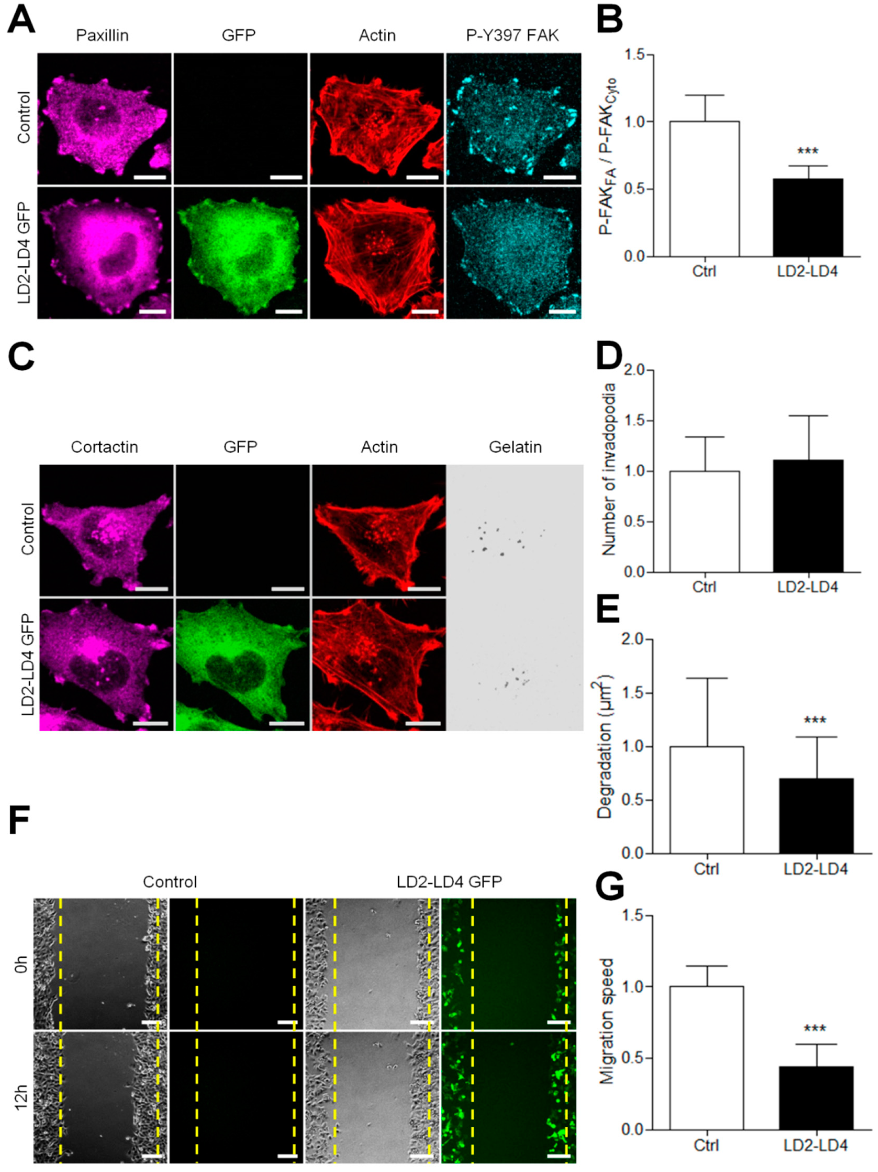 Cancers 13 01871 g008