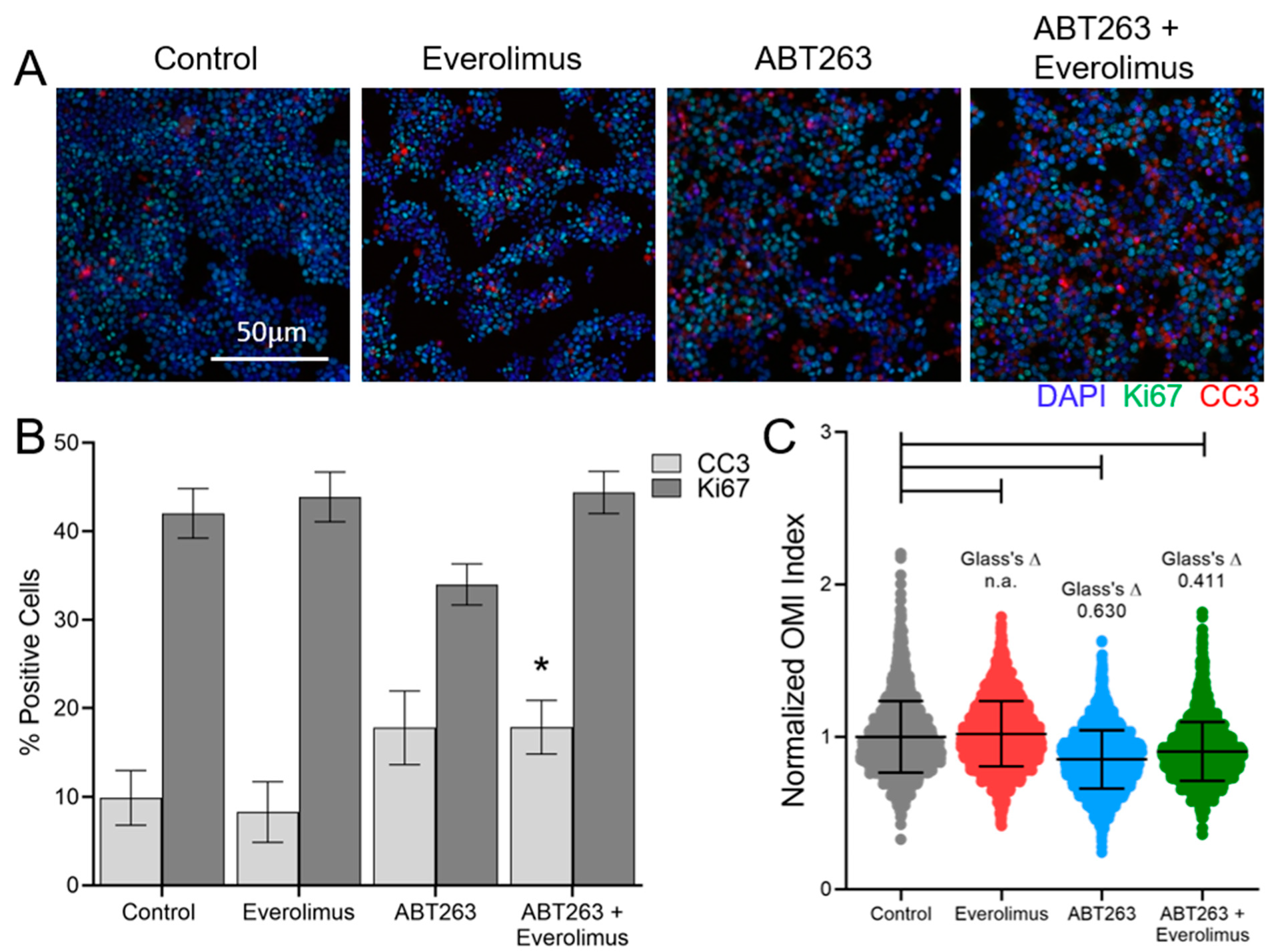 Cancers 13 01873 g001 Cancers 13 01873 g001