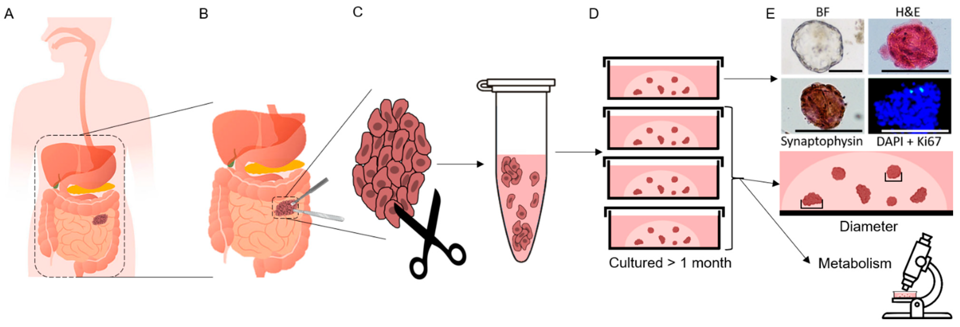 Cancers 13 01873 g002 Cancers 13 01873 g002