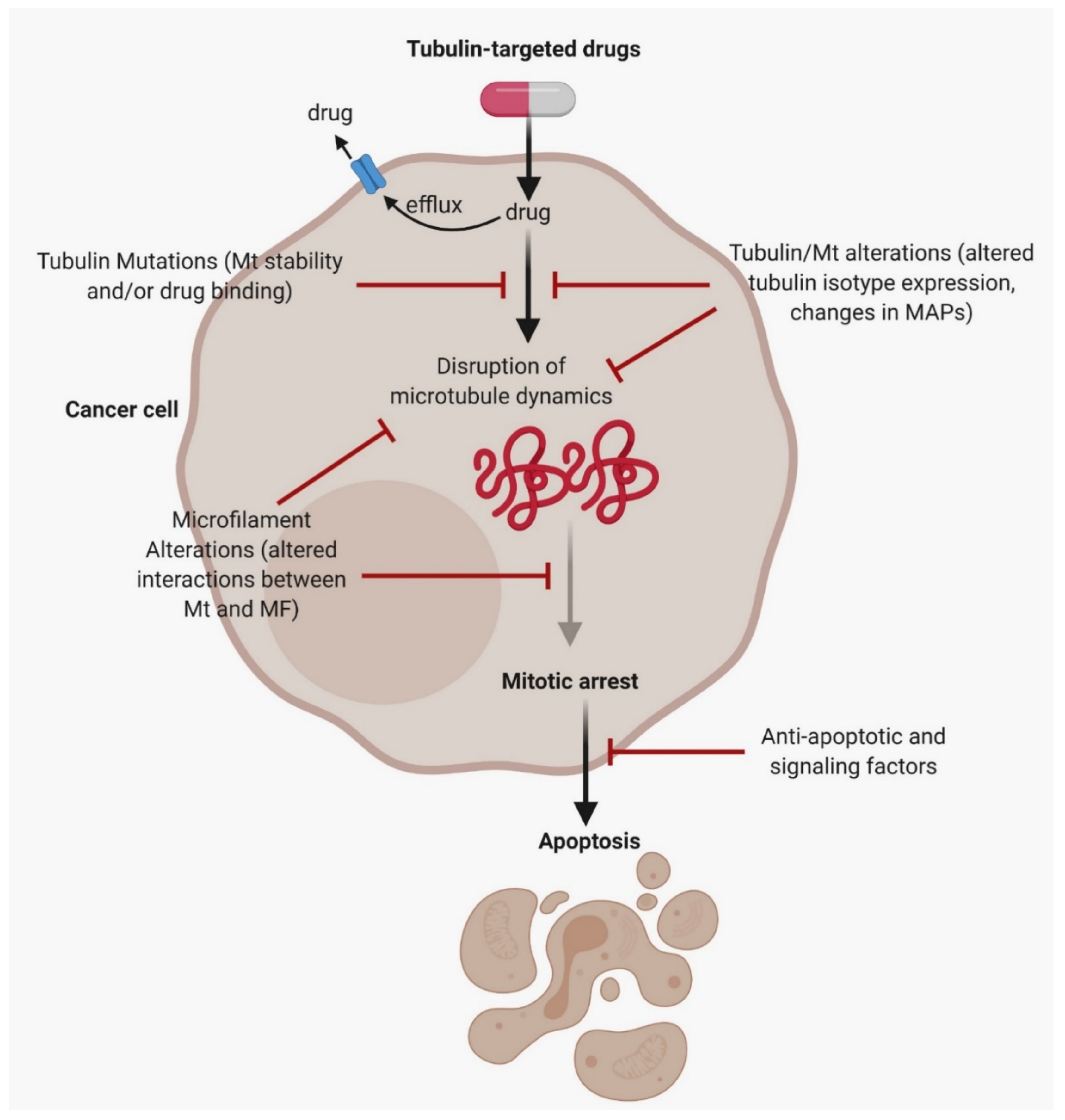 Cancers 13 01882 g003