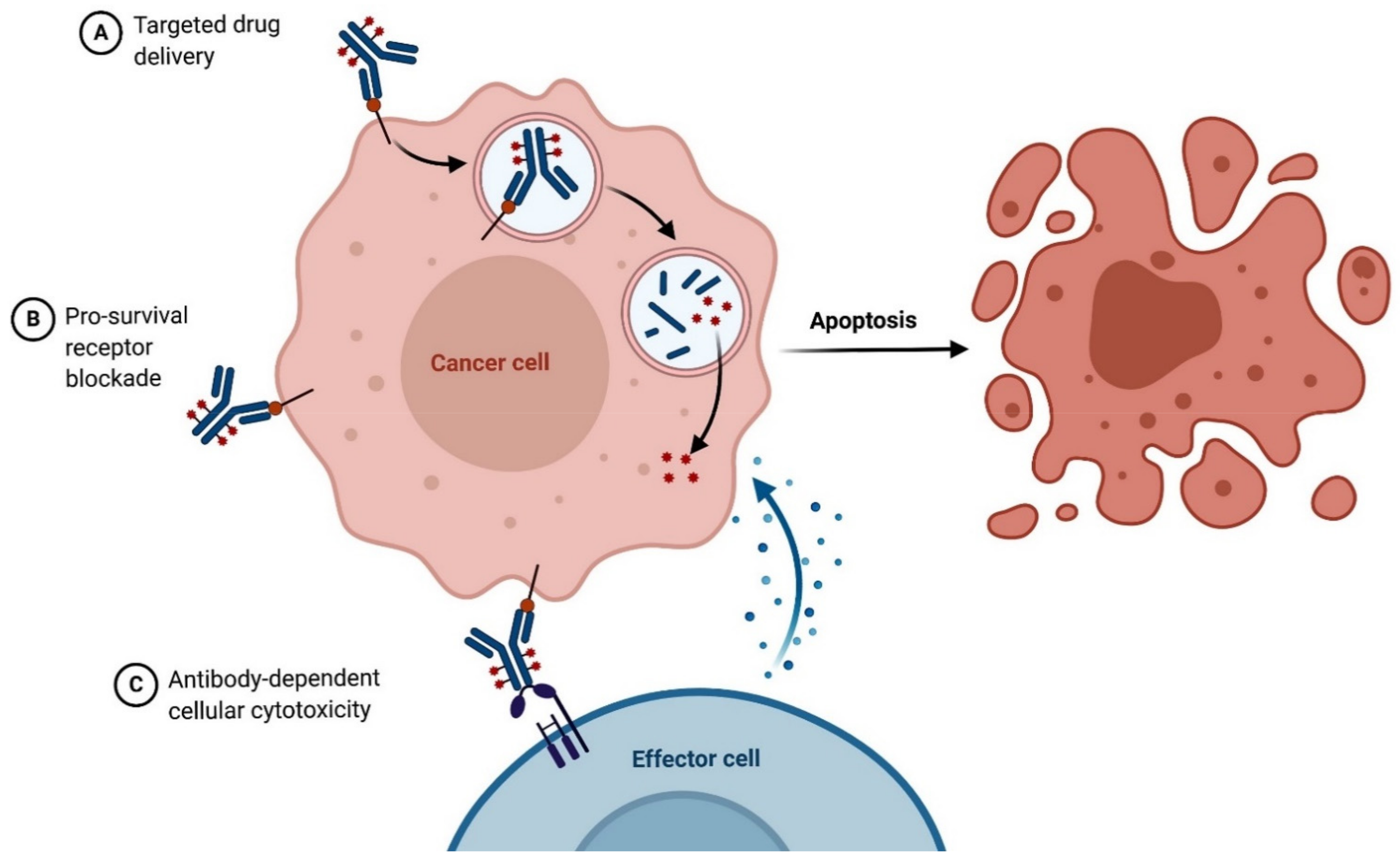 Cancers 13 01882 g004