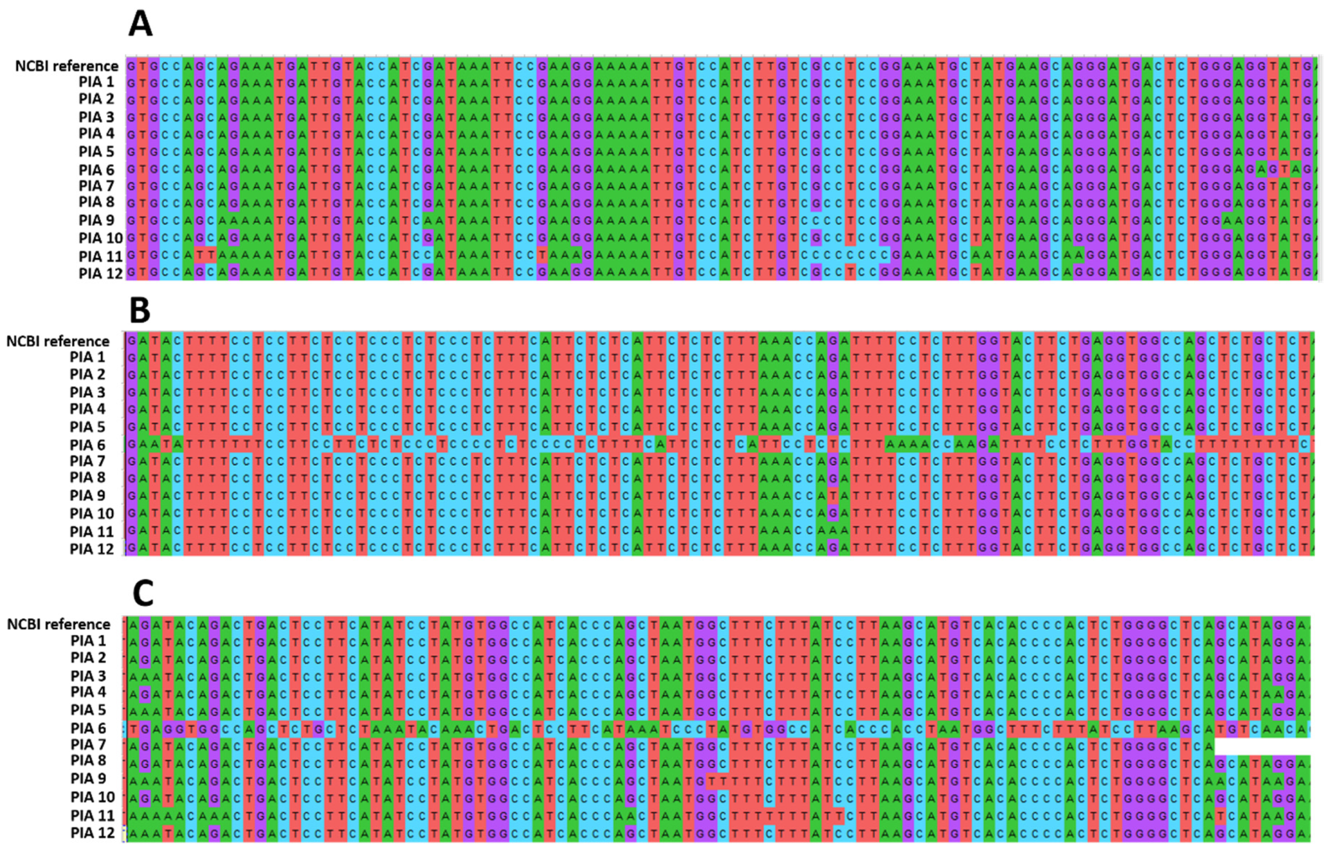 Cancers 13 01887 g007