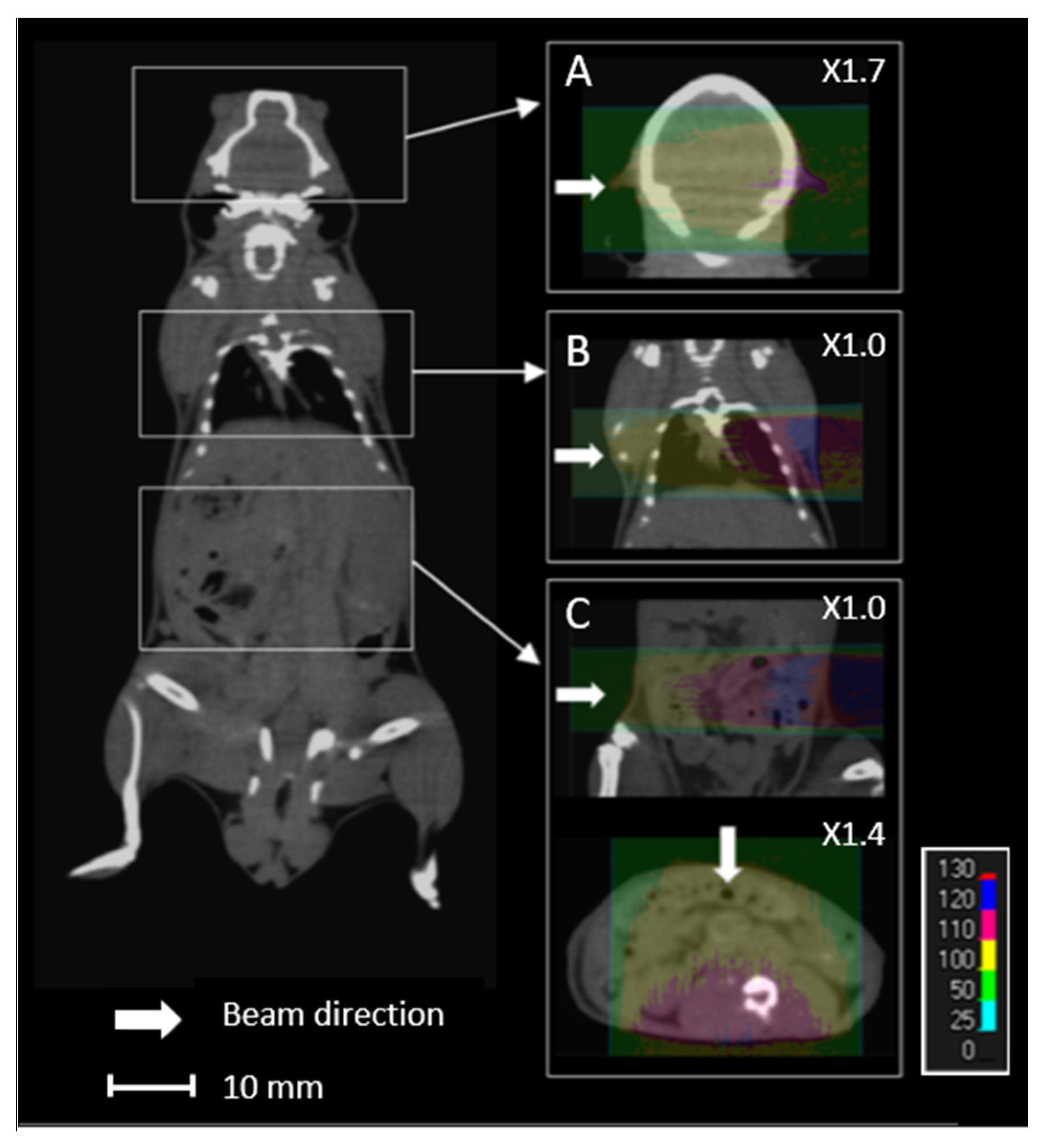 Cancers 13 01889 g001