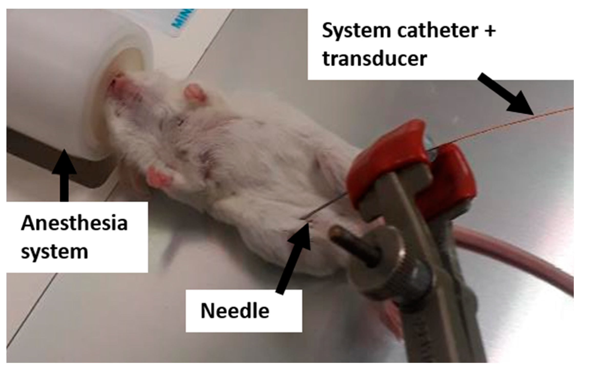 Cancers 13 01891 g004