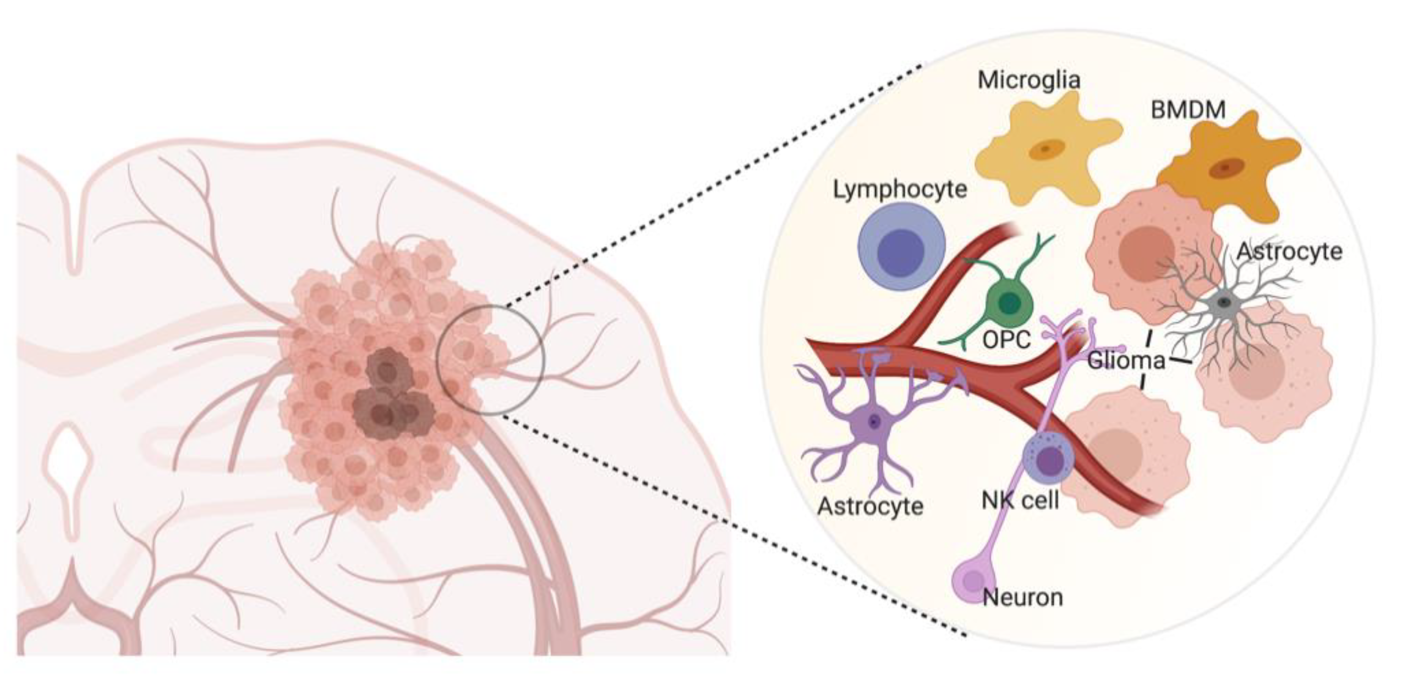 Cancers 13 01897 g001