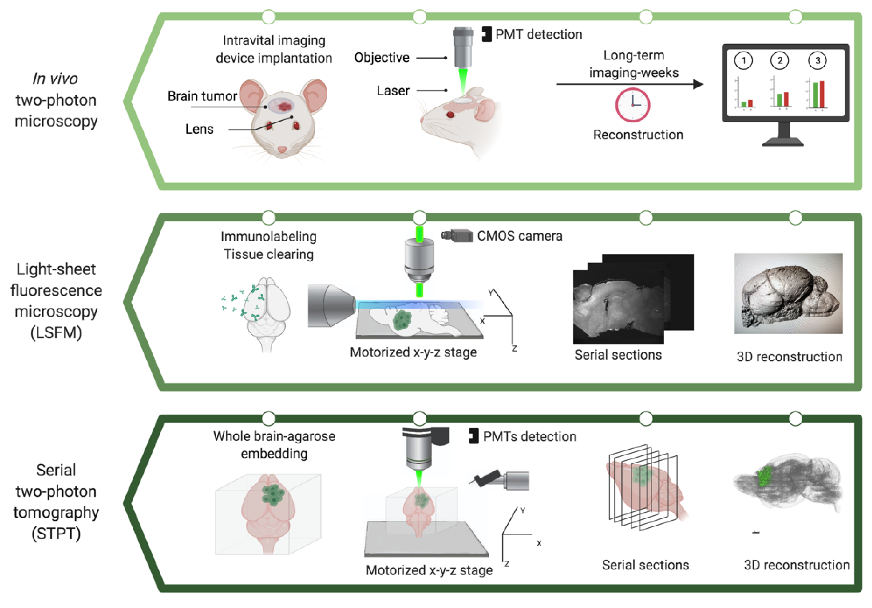 Cancers 13 01897 g002