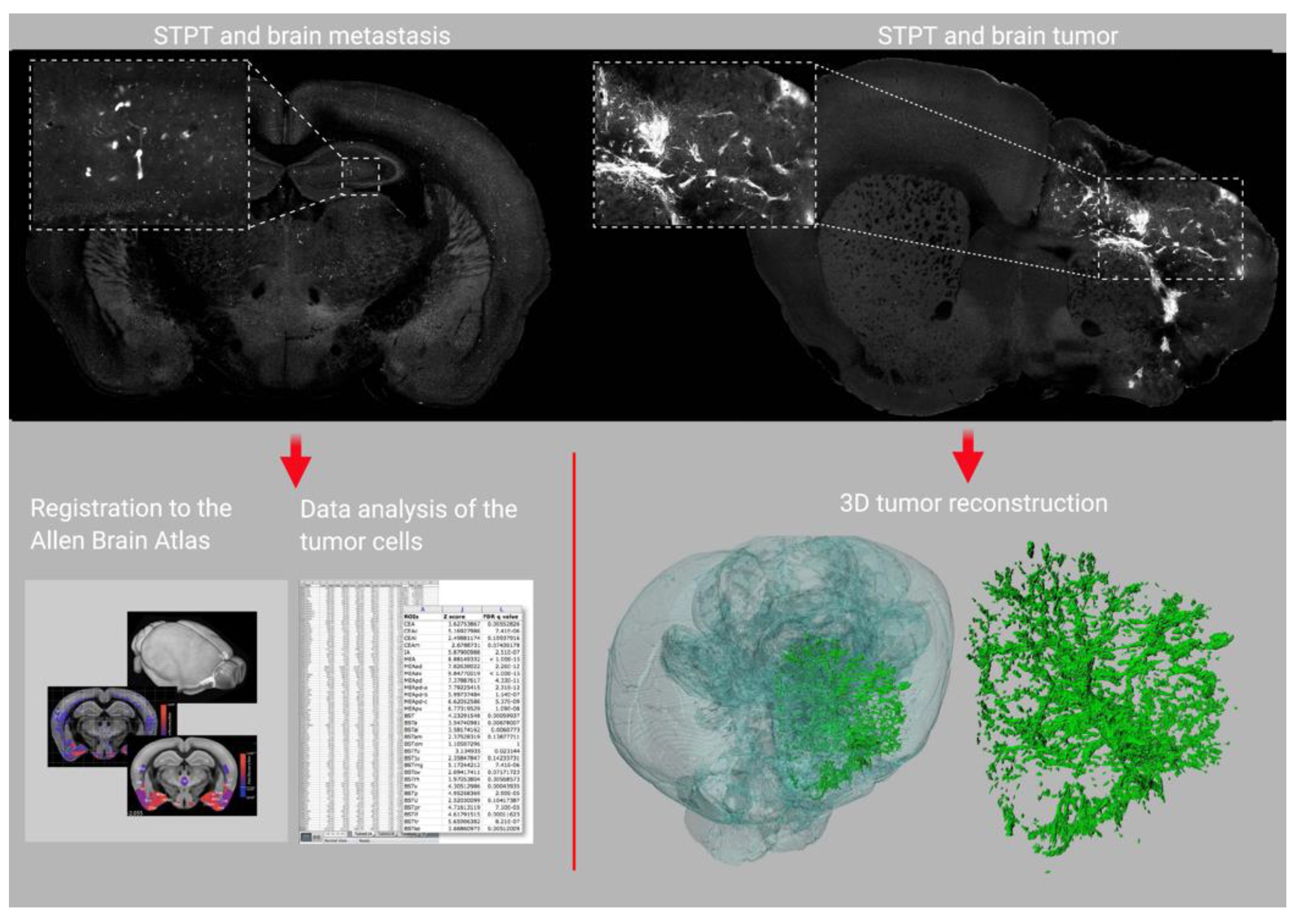 Cancers 13 01897 g003